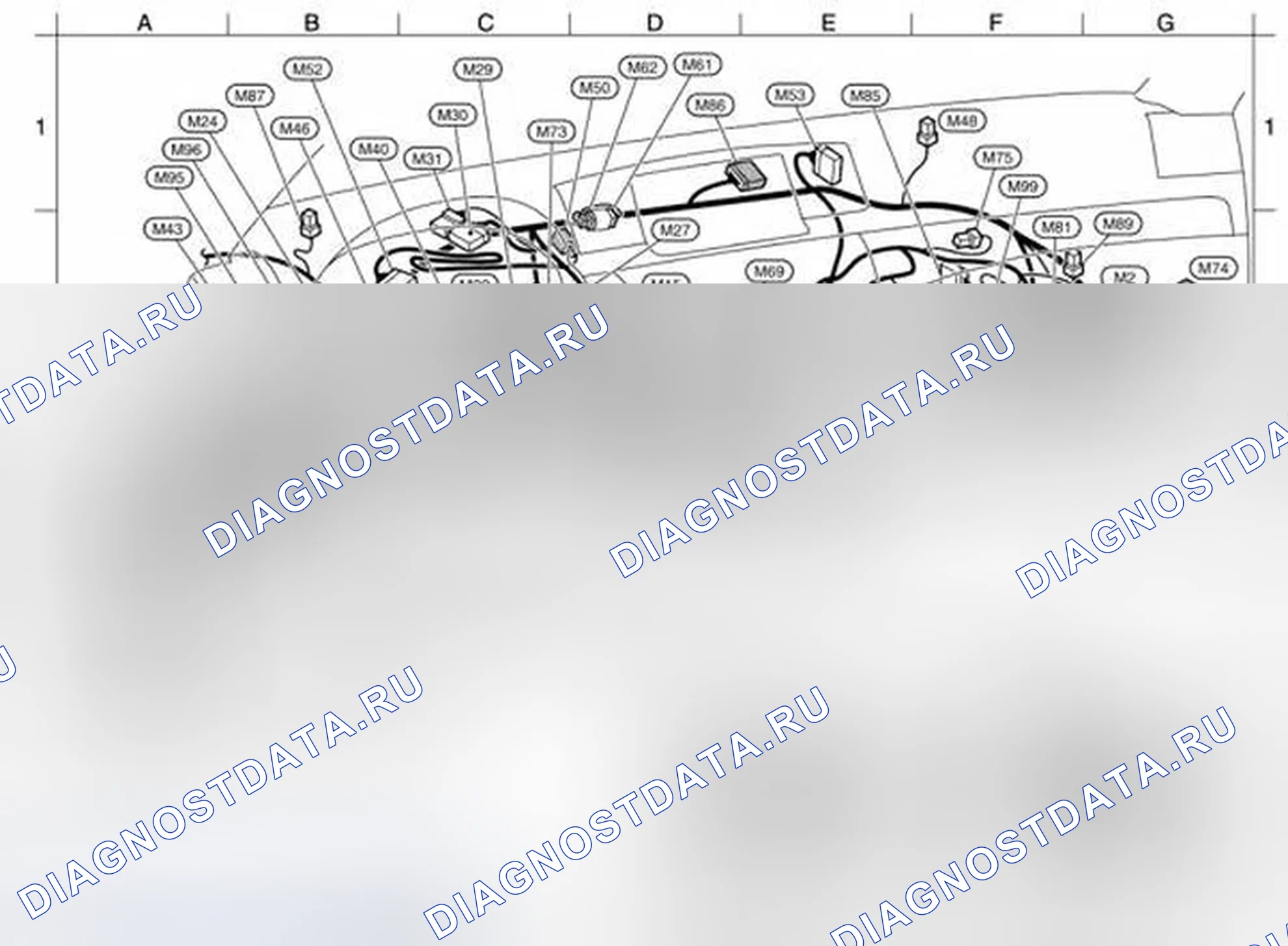 Рис. 14: ГЛАВНЫЙ ЖГУТ. Infiniti M35 III рестайлинг