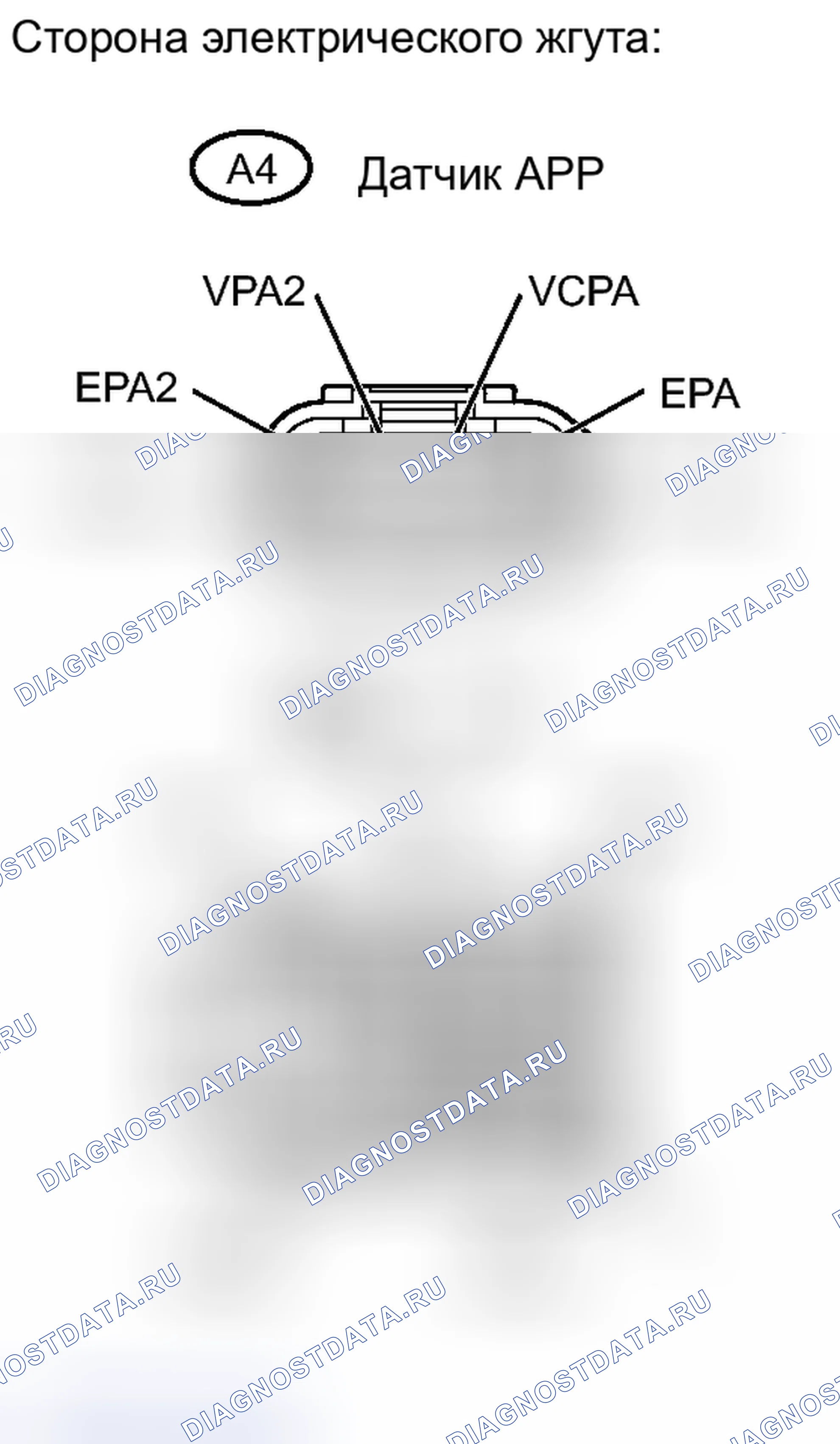 Рис. 638. Toyota RAV4 III рестайлинг