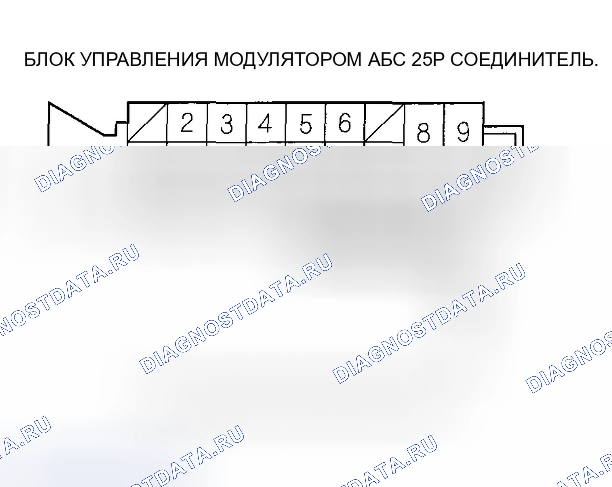 Рис. 19. Honda Accord VII рестайлинг
