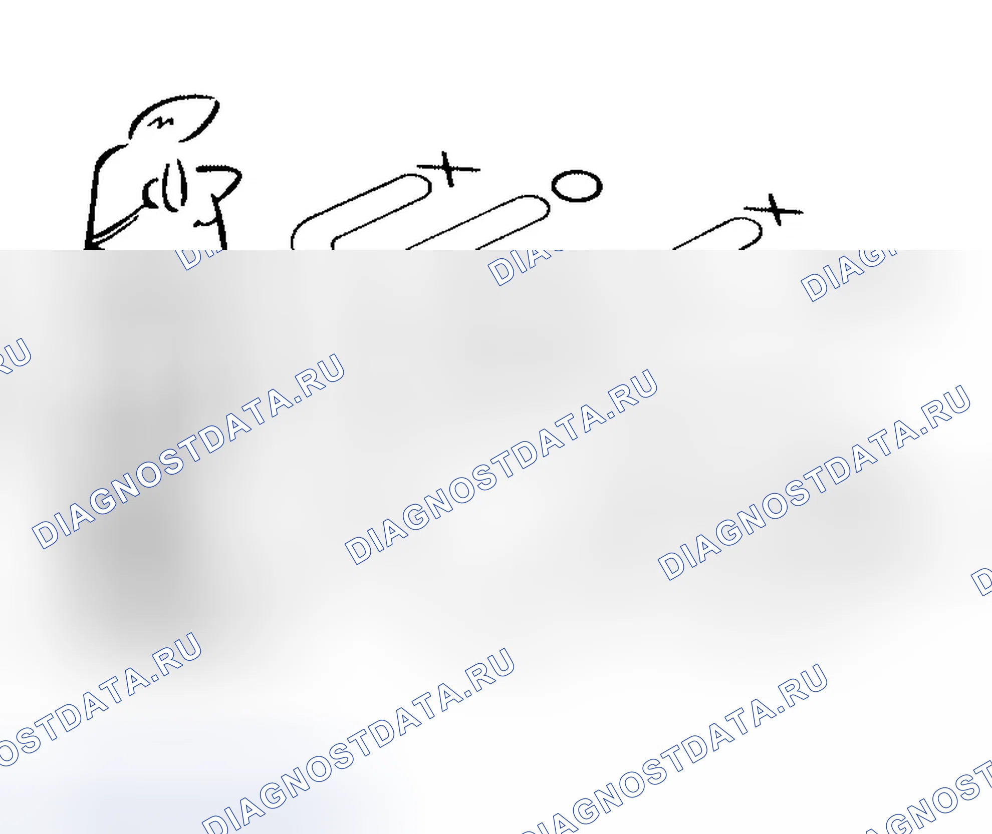Рис. 2. Infiniti QX56 I