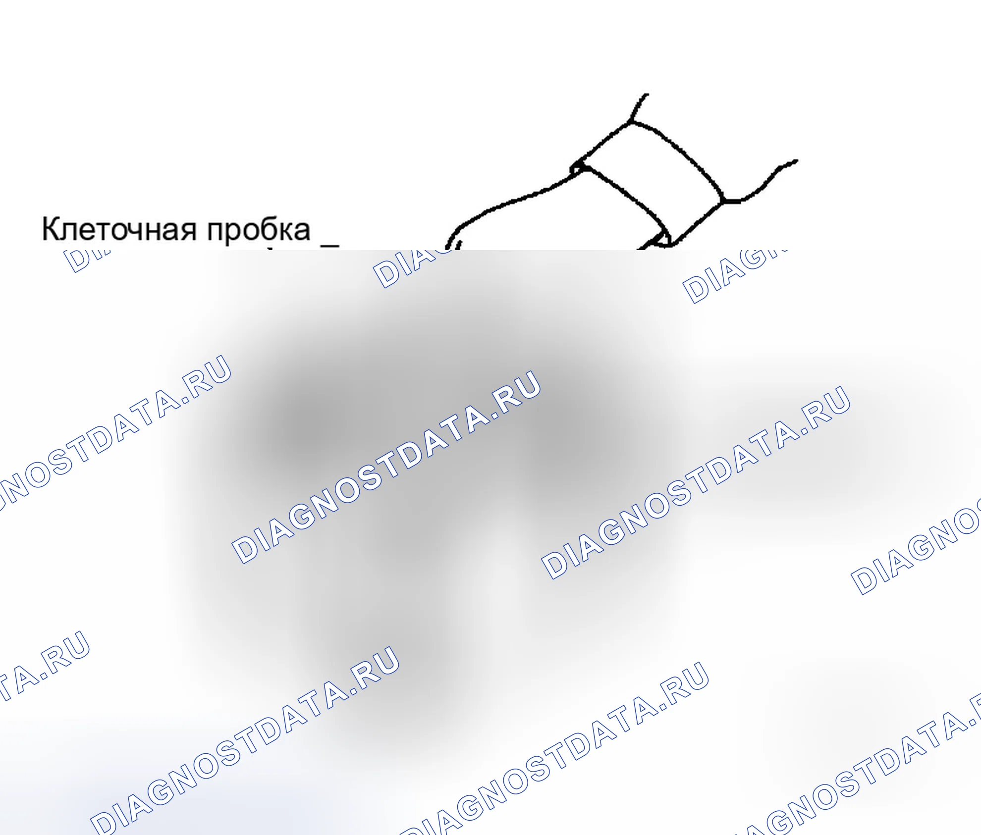 Рис. 53. Infiniti M35 III
