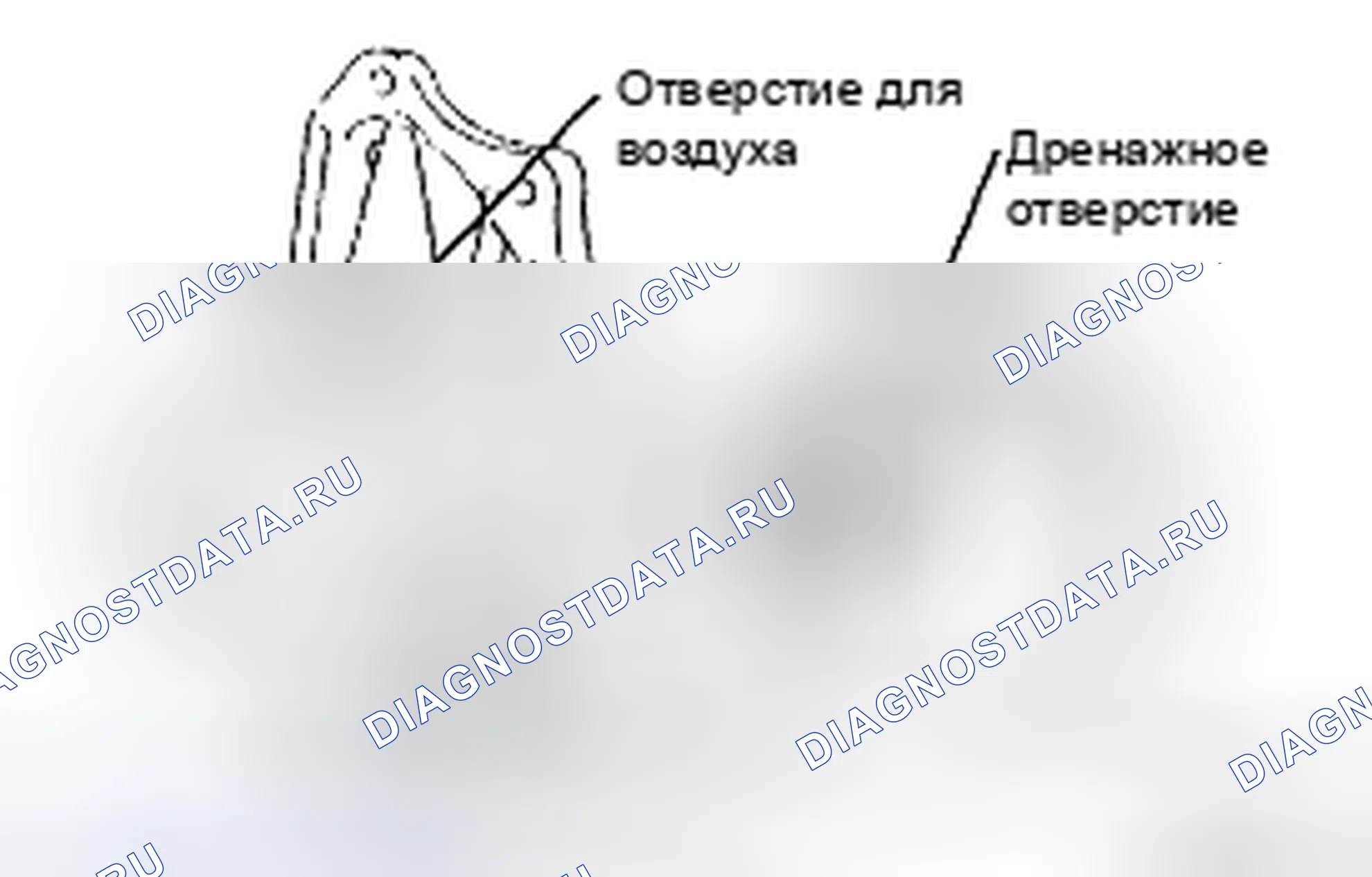 Рис. 19: ОСМОТР ТРАНСПОРТНОГО СРЕДСТВА. Toyota Corolla X
