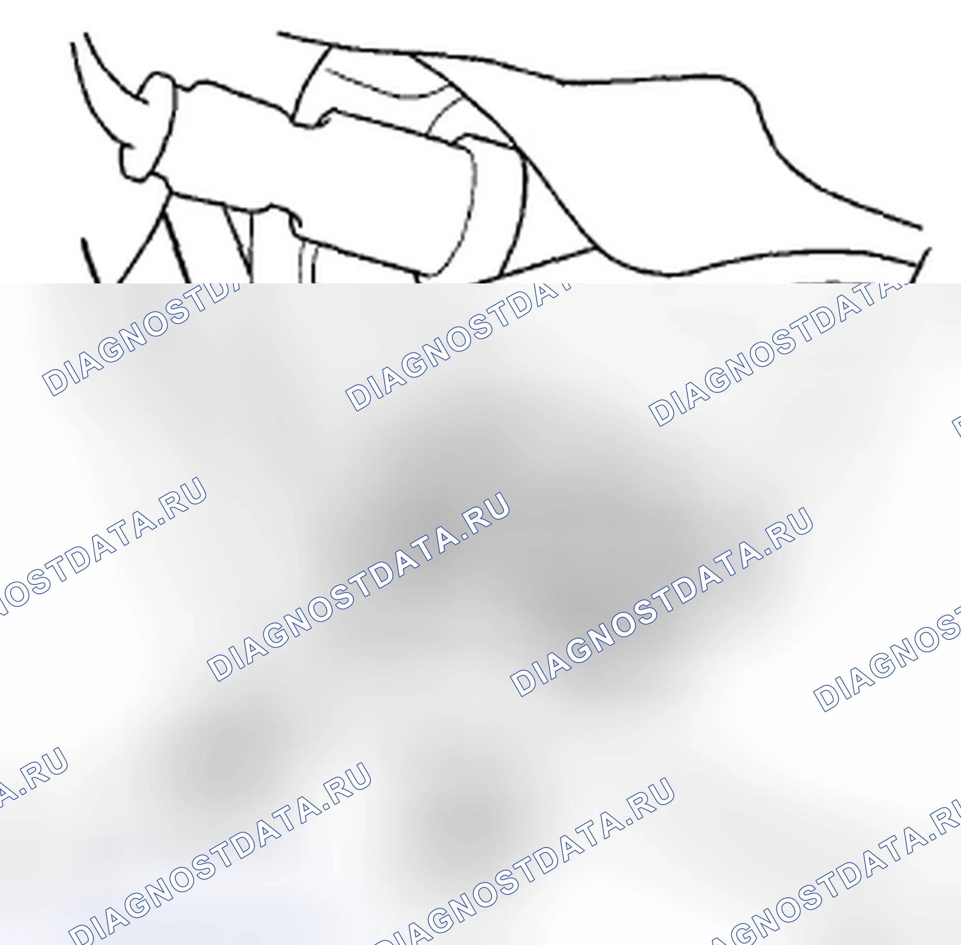 Рис. 26: Демонтаж. Honda Crosstour I