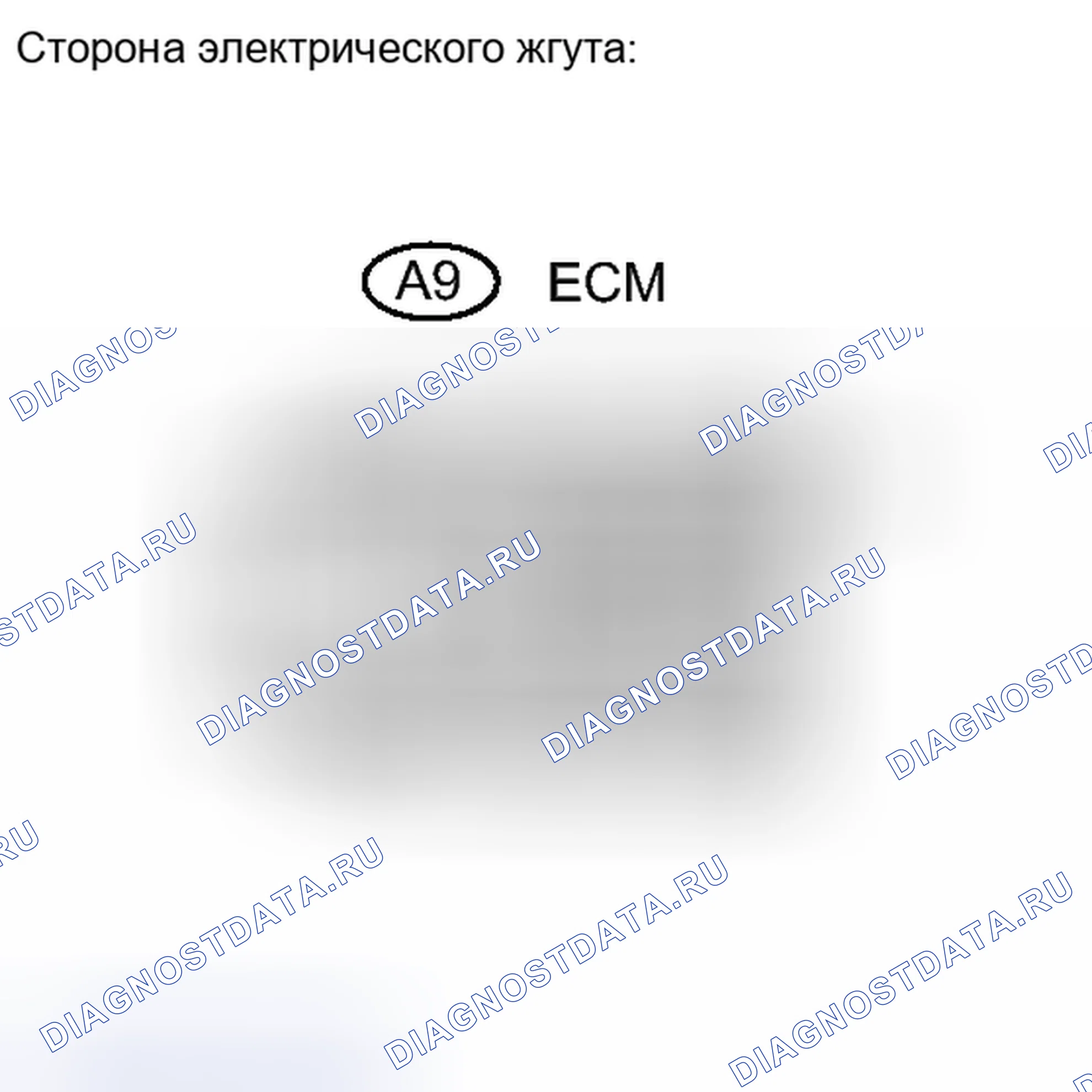Рис. 615: ПРОЦЕДУРА. Toyota RAV4 III рестайлинг