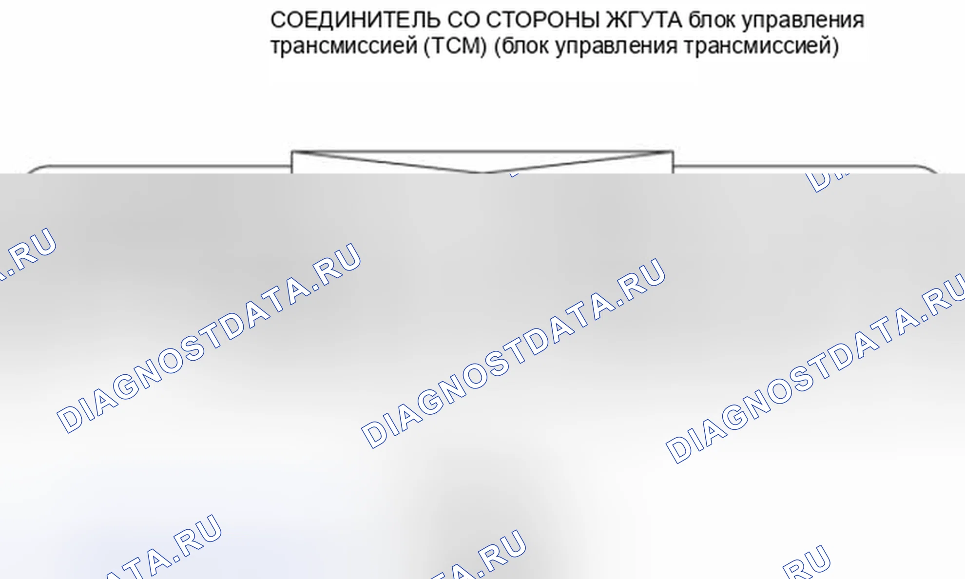 Рис. 516: Идентификация клемм соединителя на стороне кабеля блок управления трансмиссией (TCM) (блок управления трансмиссией). Mazda 3 BL рестайлинг