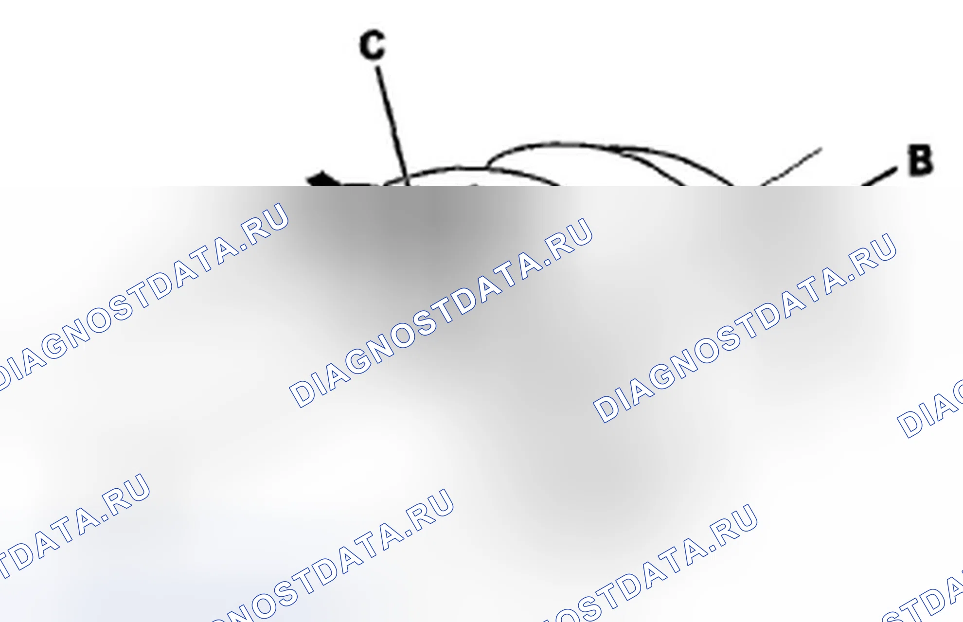Рис. 17. Honda Insight ZE2