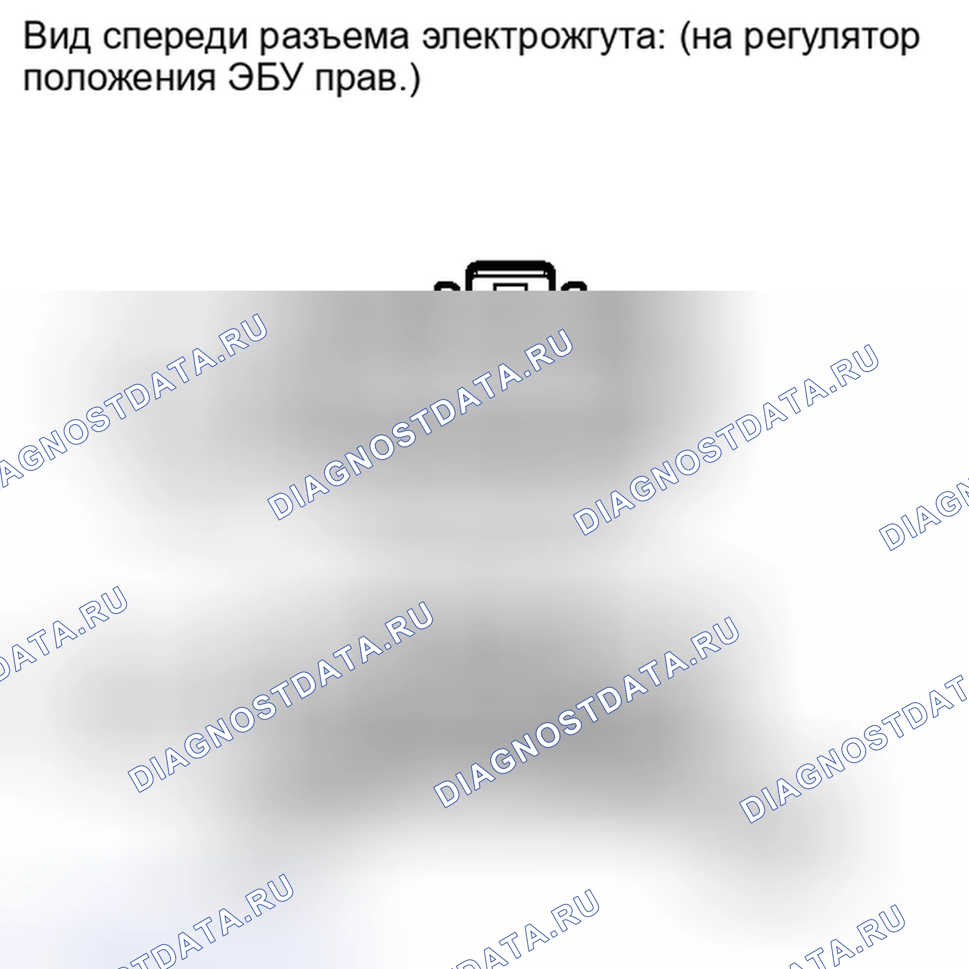Рис. 176. Honda Accord IV
