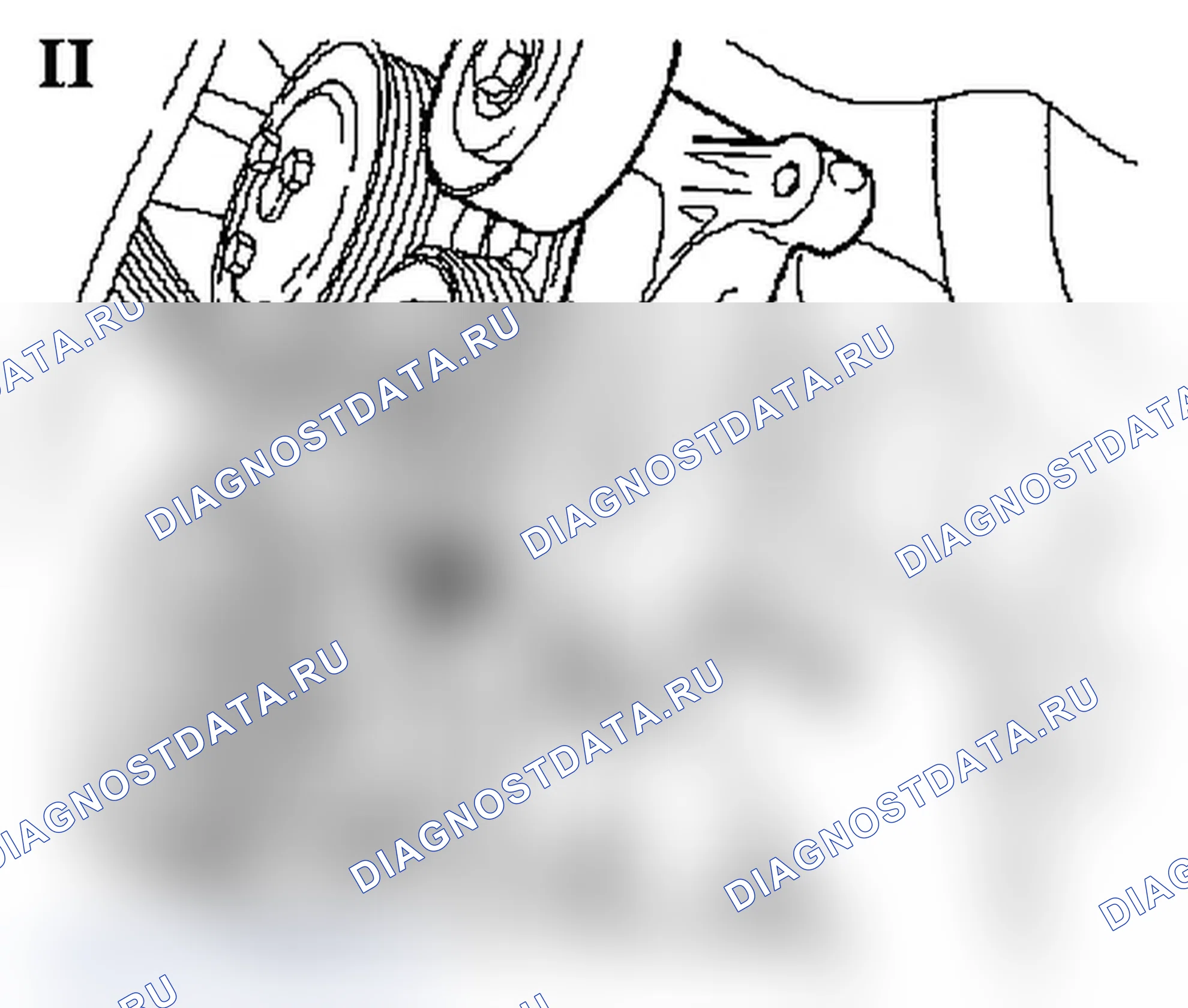 Alternator Belt - Noisy. Opel Astra G