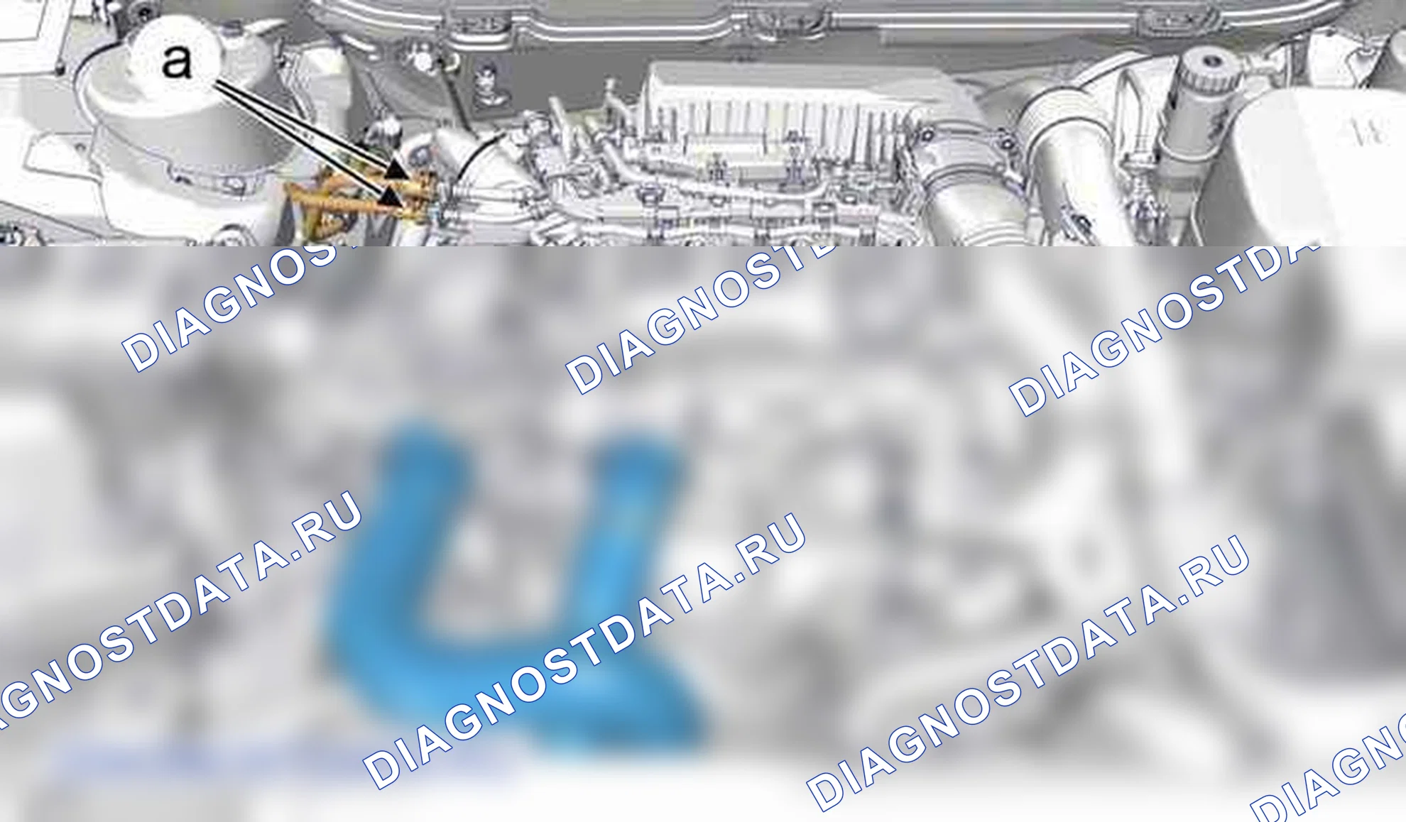 Снятие - Установка: ремень ГРМ — b1bm0zud. Citroen C5 II
