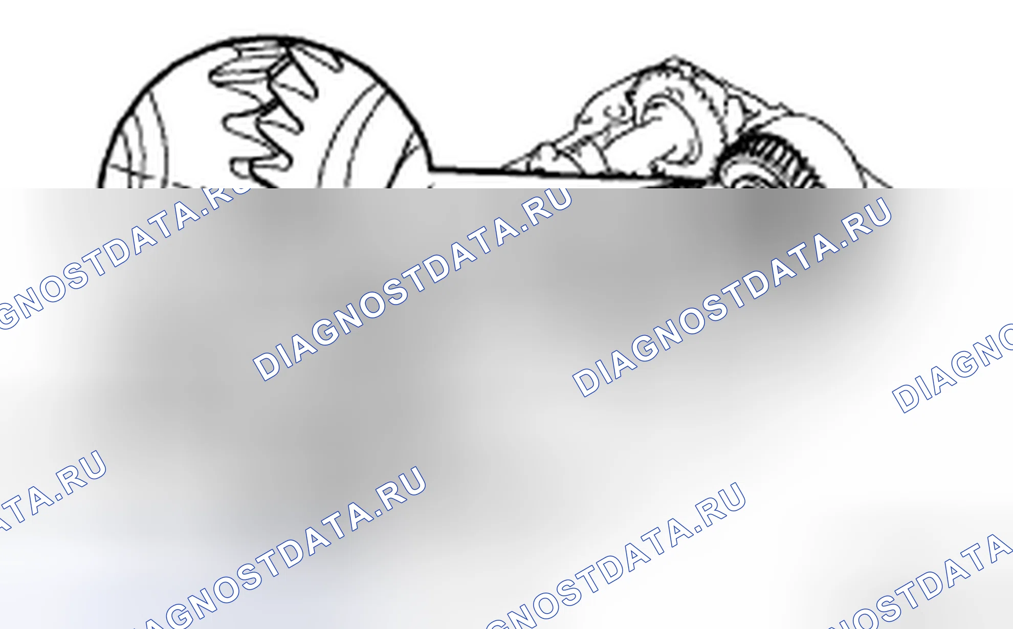 Рис. 93. Honda Accord IX