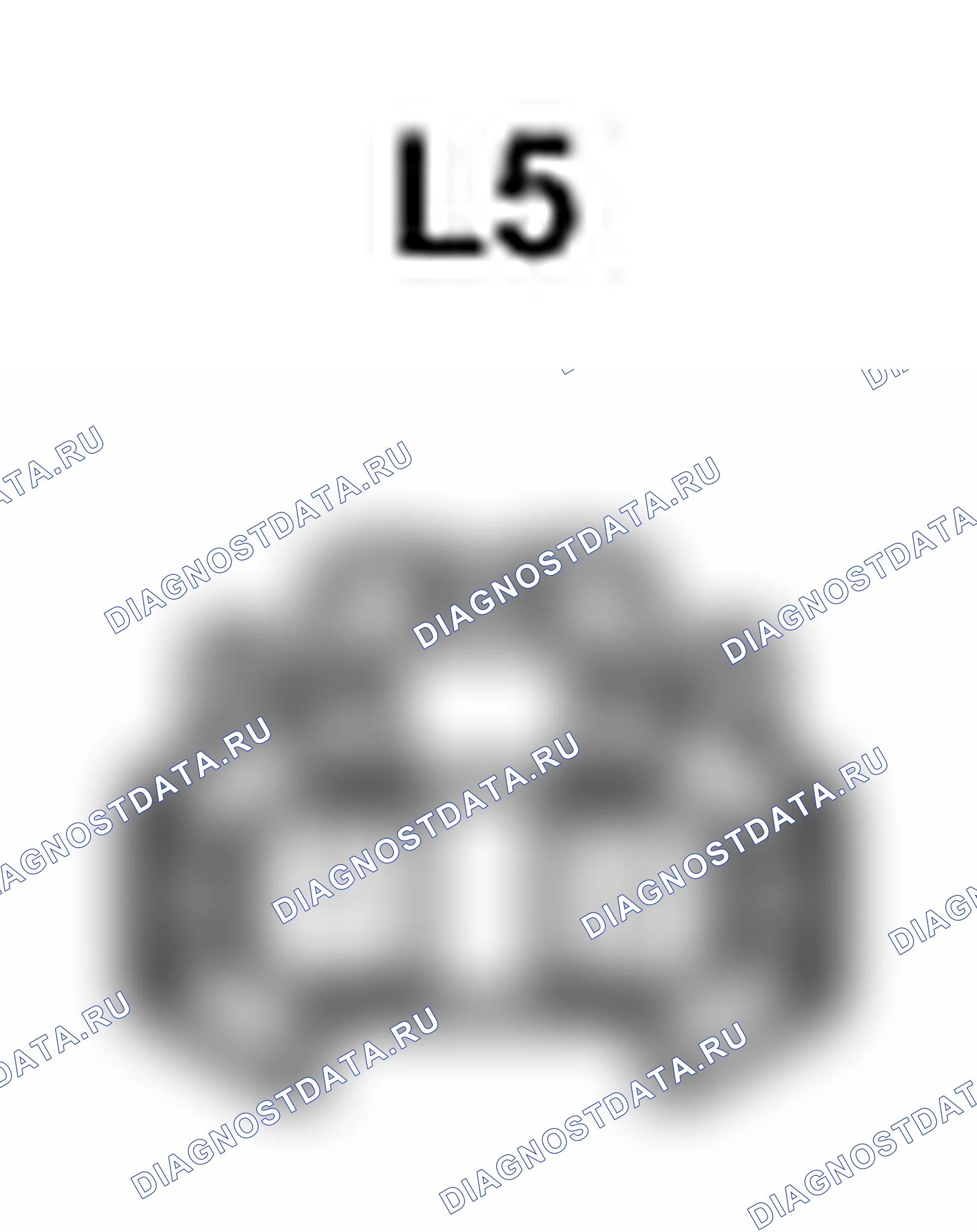 Рис. 354: Вид с торца правого разъема громкоговорителя No2 спереди (L5). Lexus IS F I
