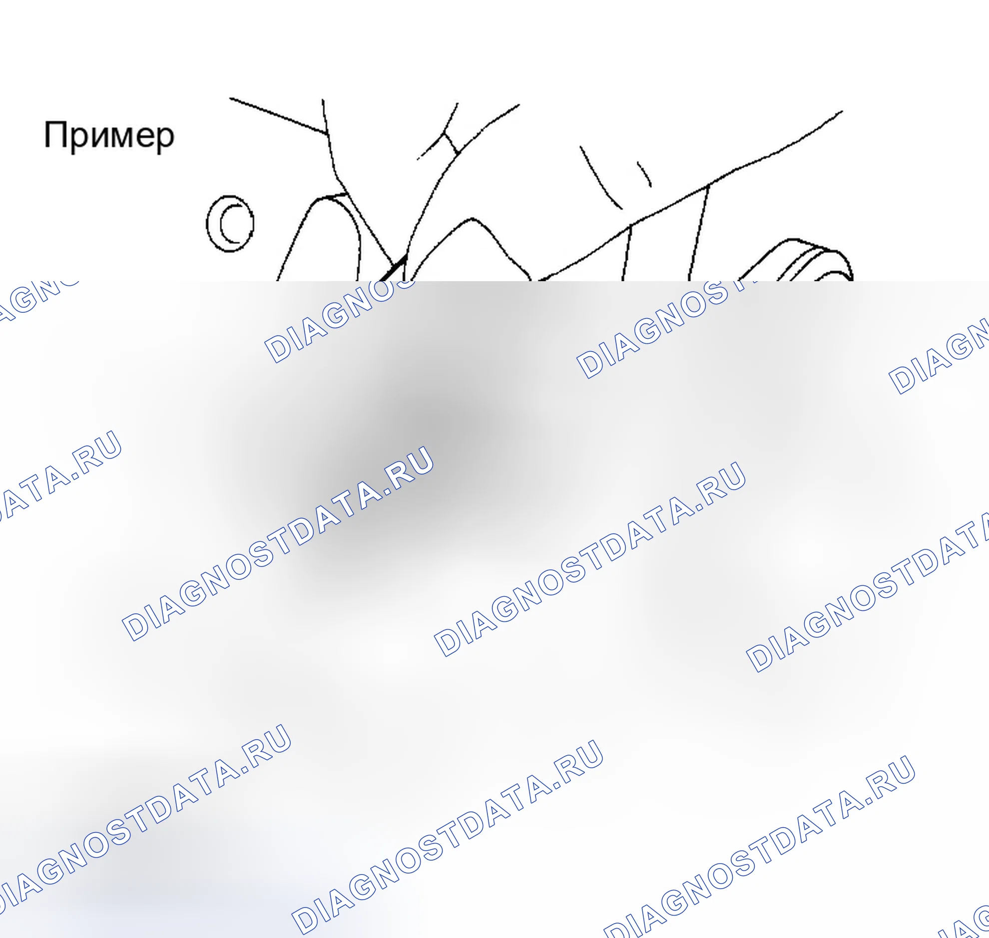 Рис. 1071: Способ применения пластигажа. Infiniti G35 III