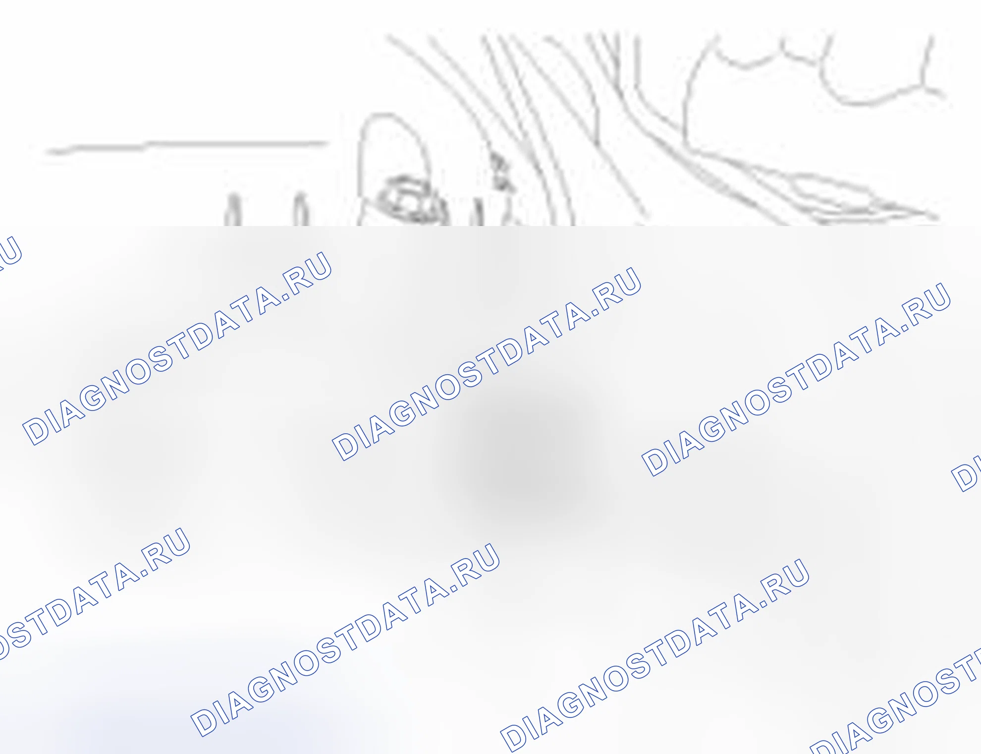 Рис. 111. Haval Beast (Shenshou) I