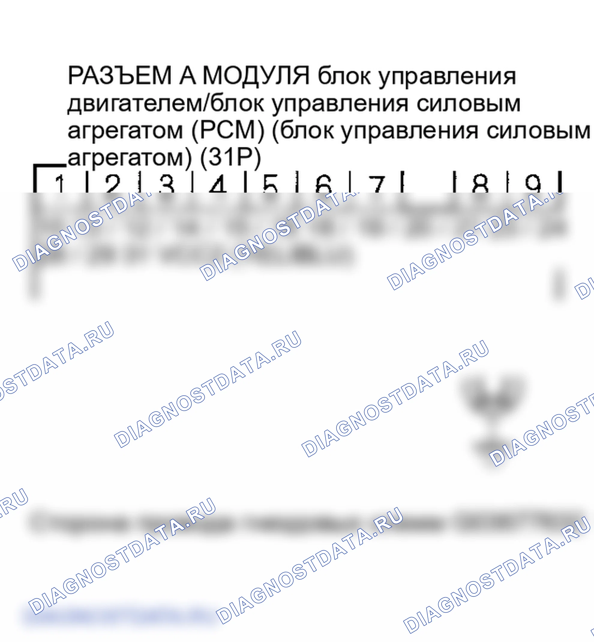 Рис. 35. Honda Element YH2