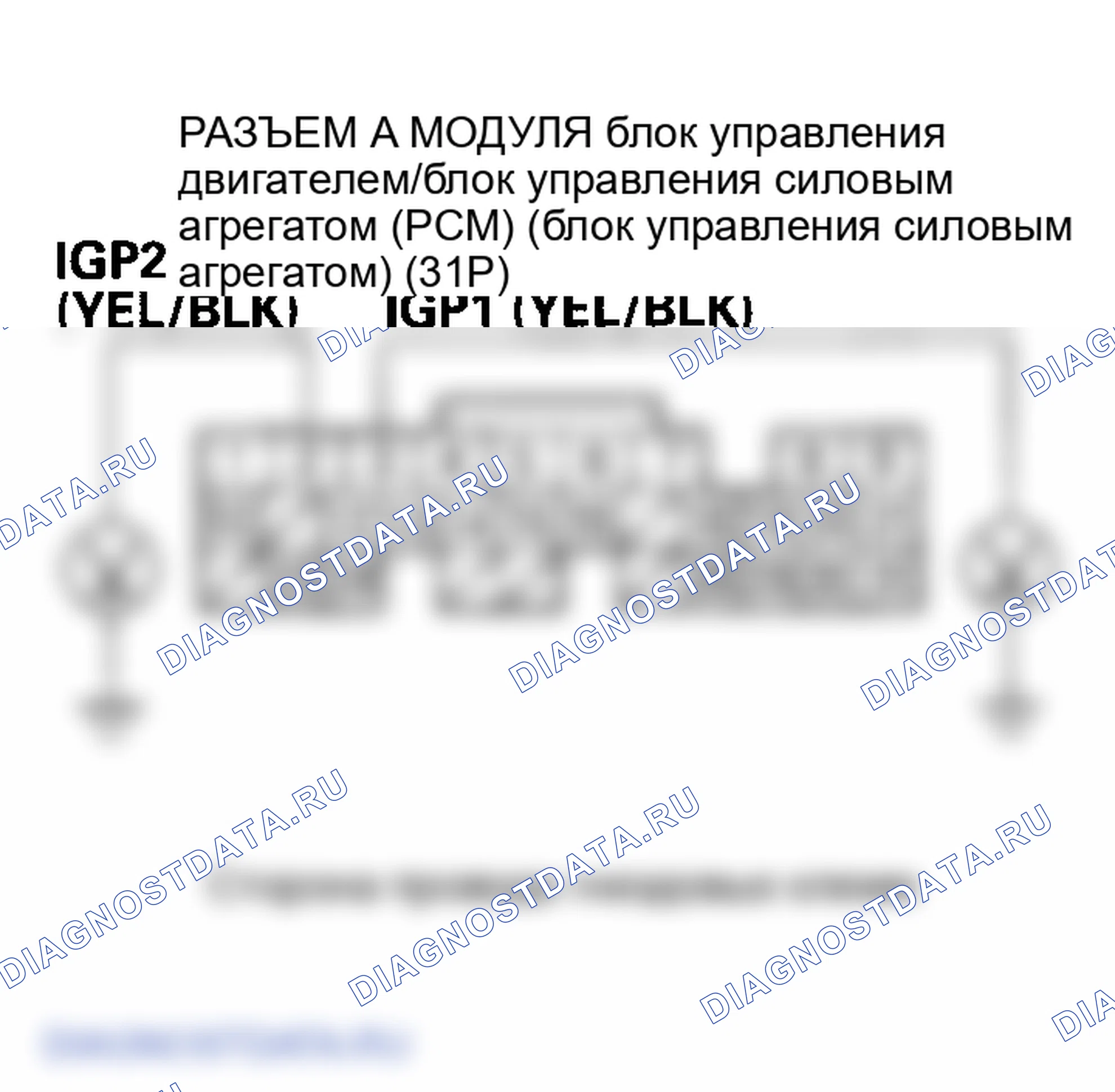 Рис. 145. Honda Element YH2