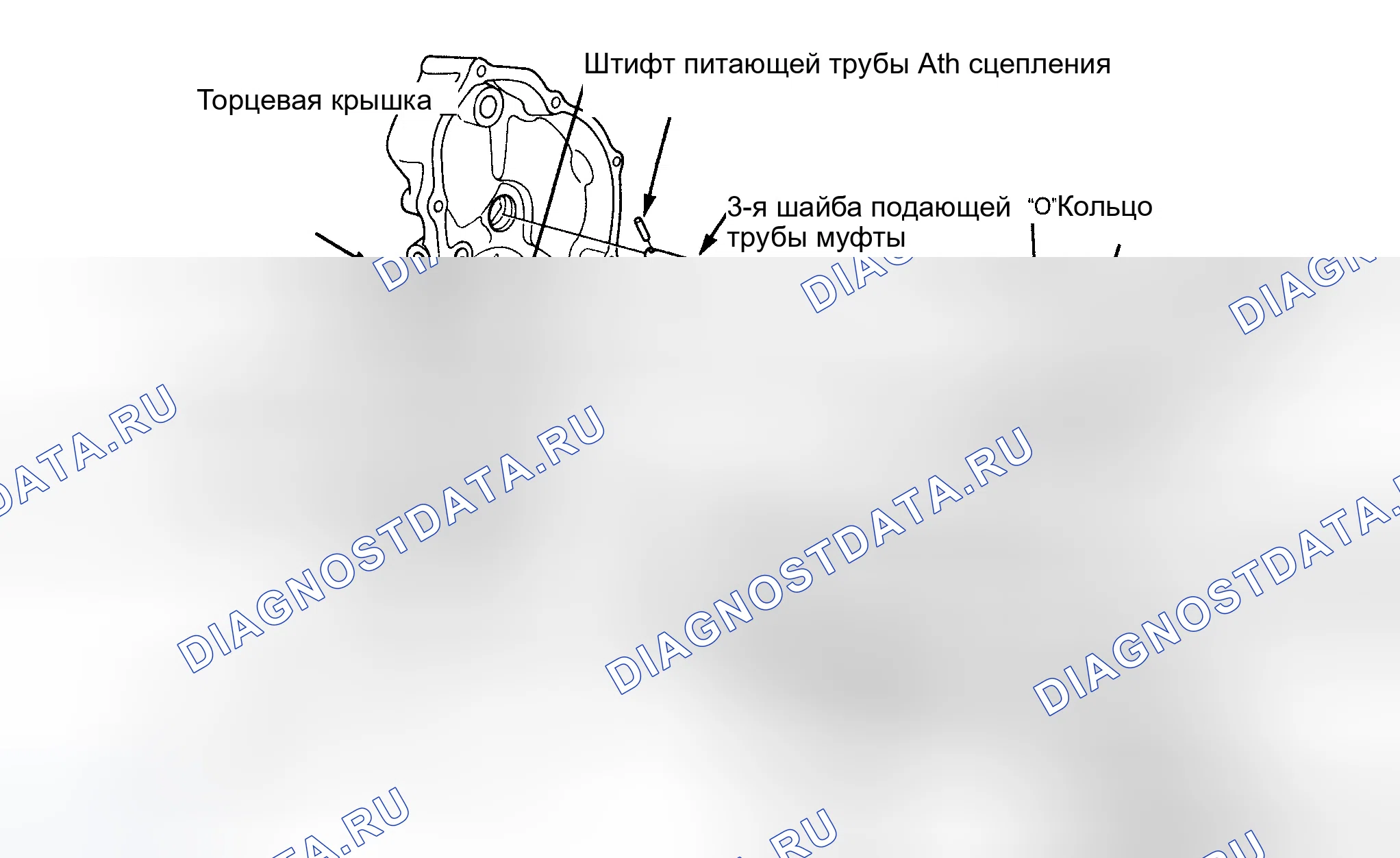 Рис. 8. Honda Accord III