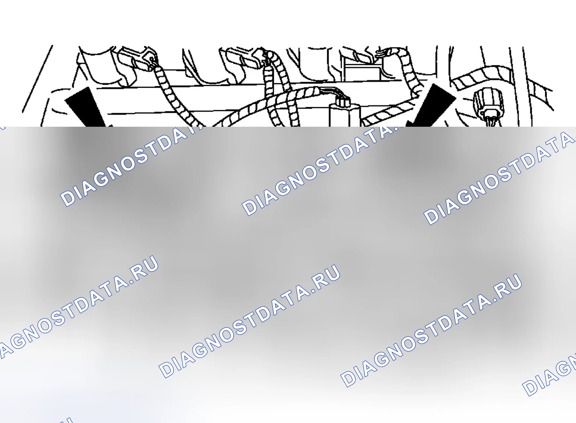 Рис. 1358. Ford Focus I рестайлинг