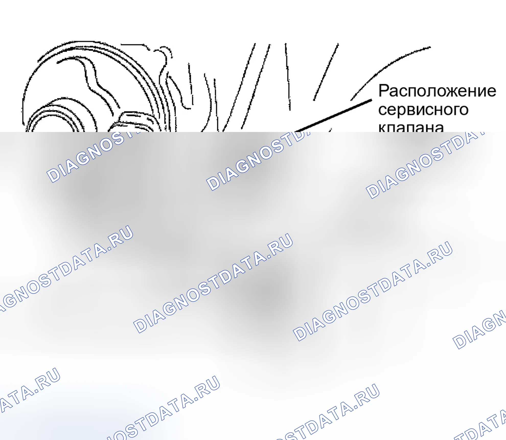 Рис. 3. Jaguar XKR I