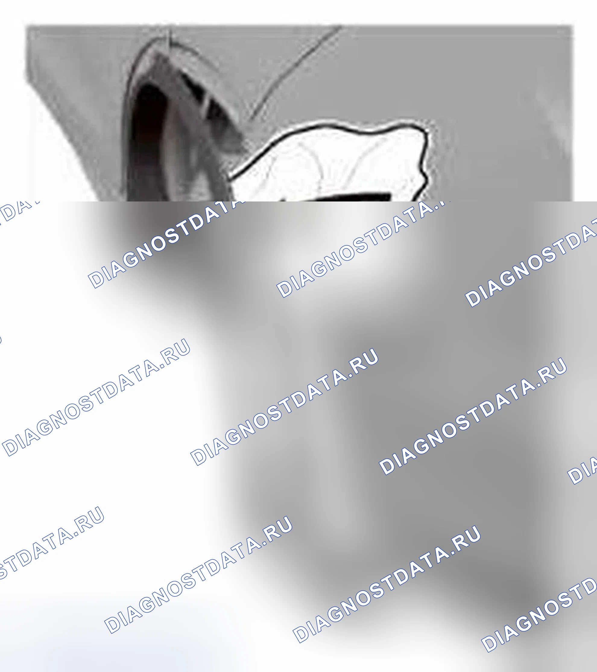 Рис. 98. Honda CR-V IV