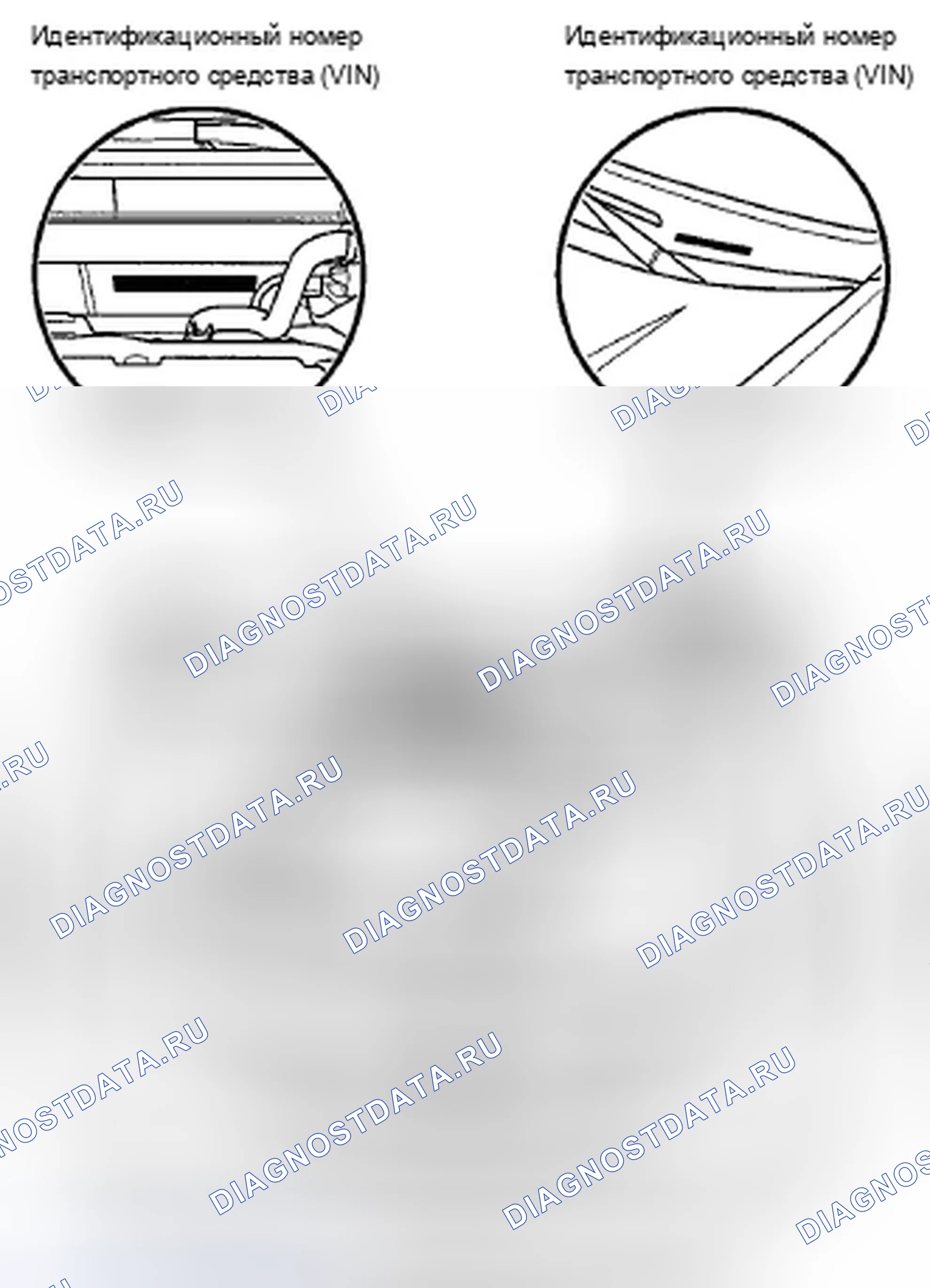 Рис. 13: Расположение идентификационных номеров. Acura TSX II