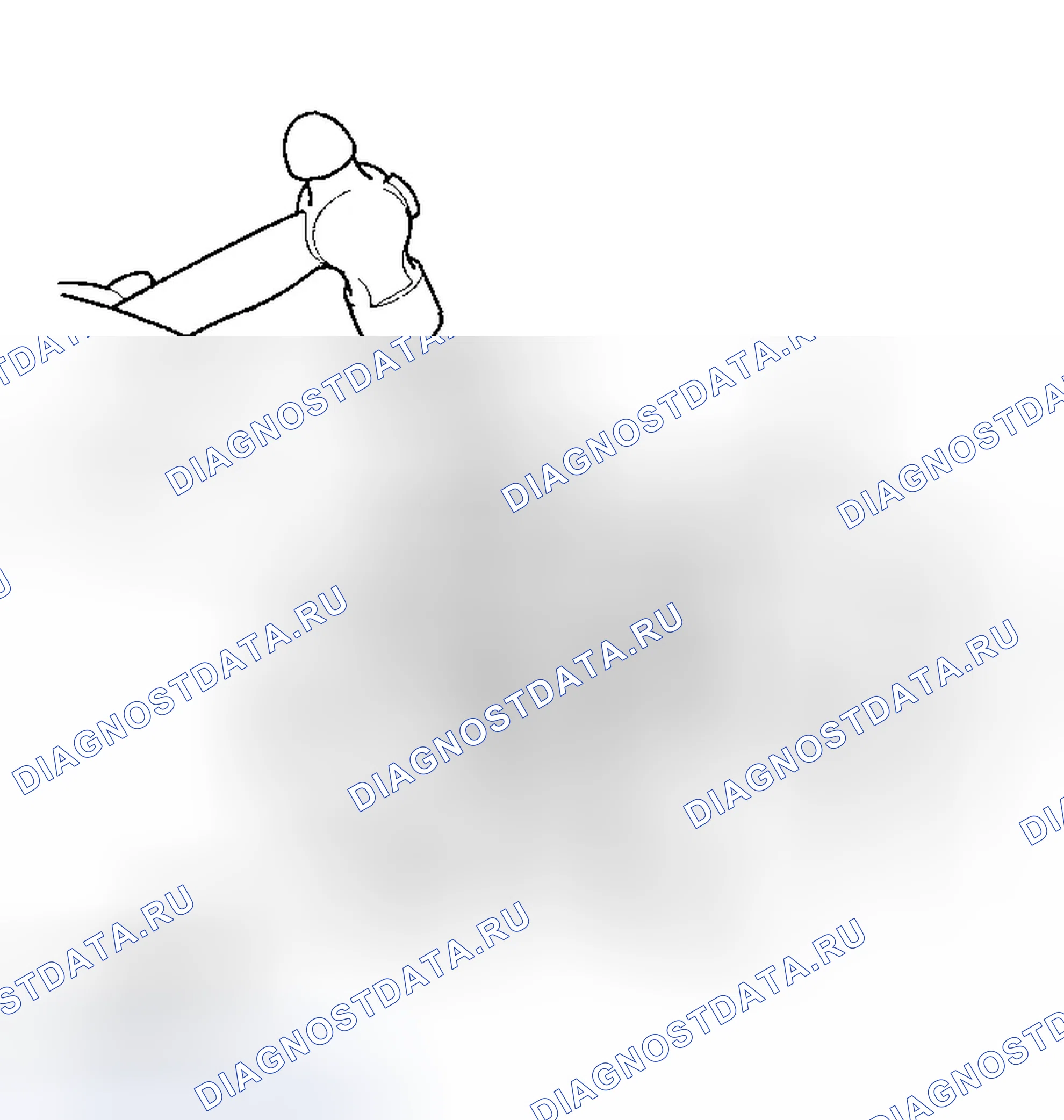 Рис. 144. Honda Element YH2