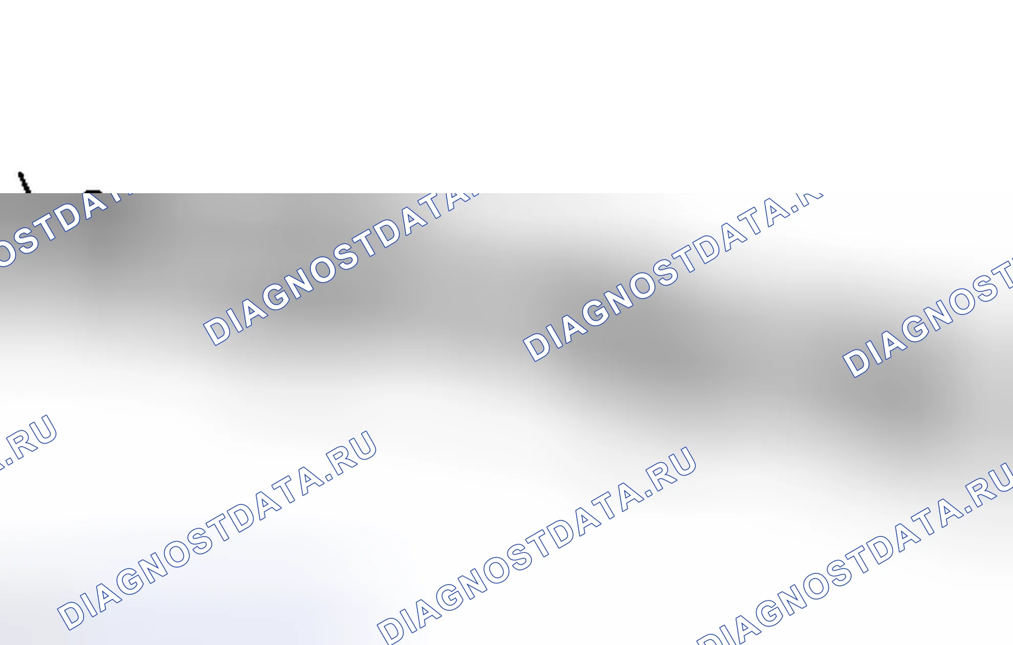 Рис. 47. Haval Raptor I