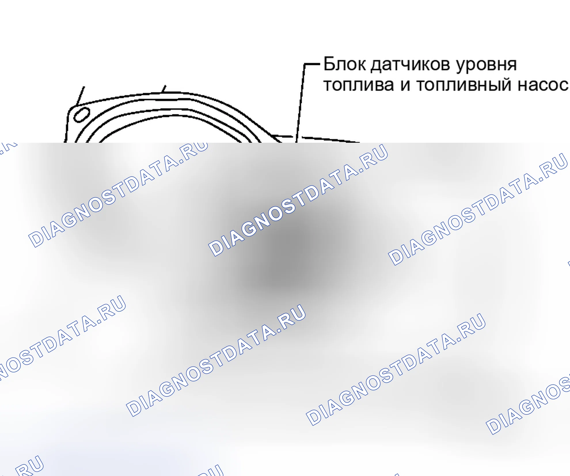 Рис. 2. Honda Street I