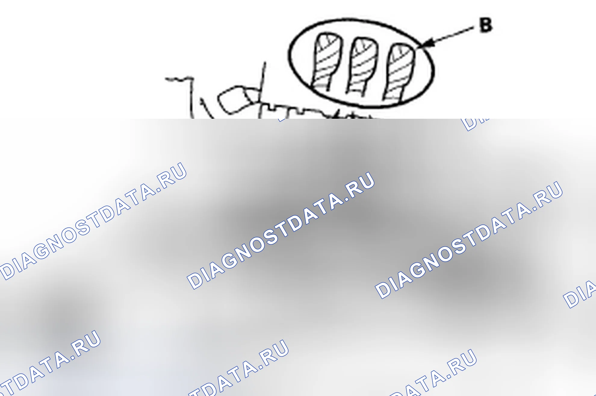 Рис. 296. Honda Accord VII рестайлинг