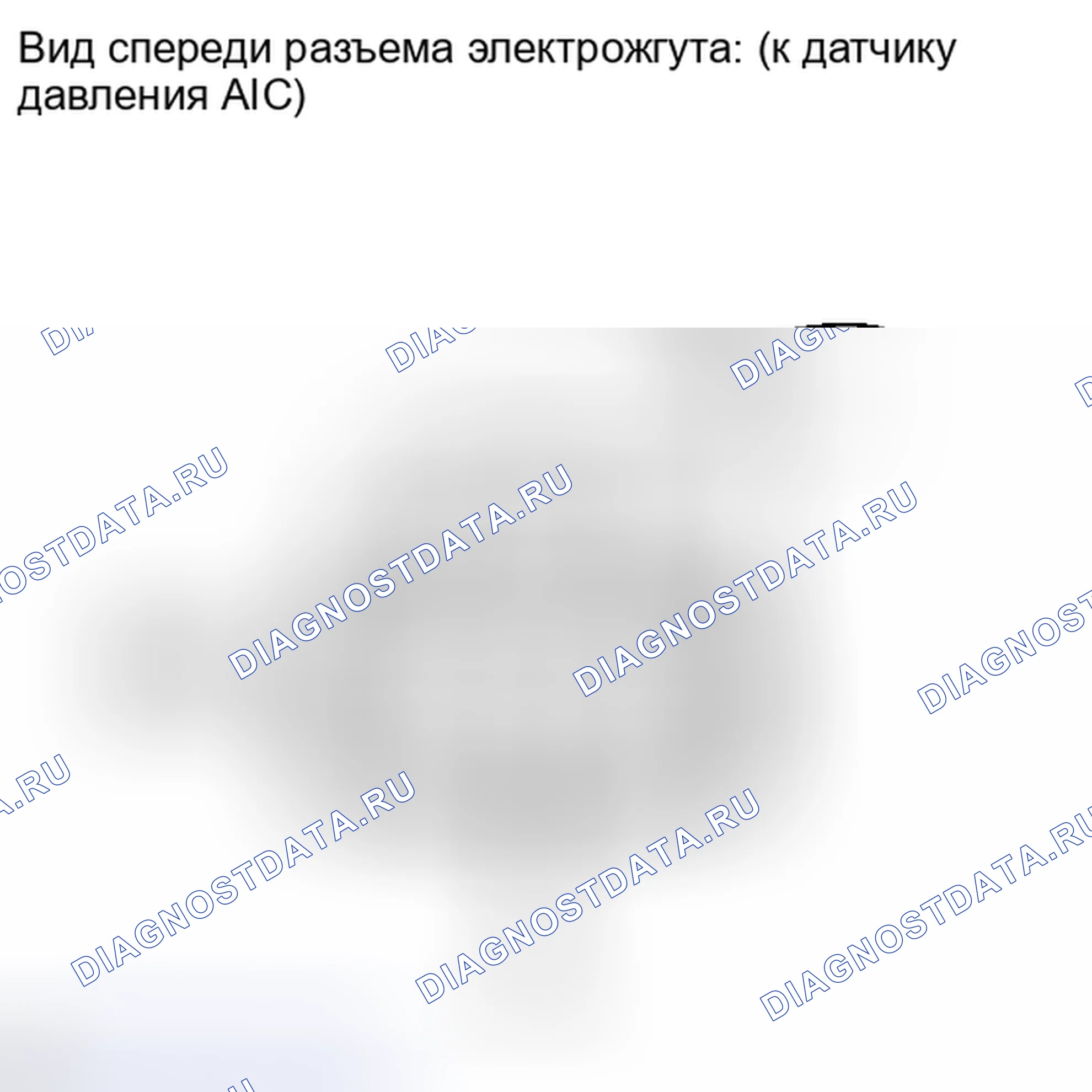 Рис. 149. Lexus IS F I
