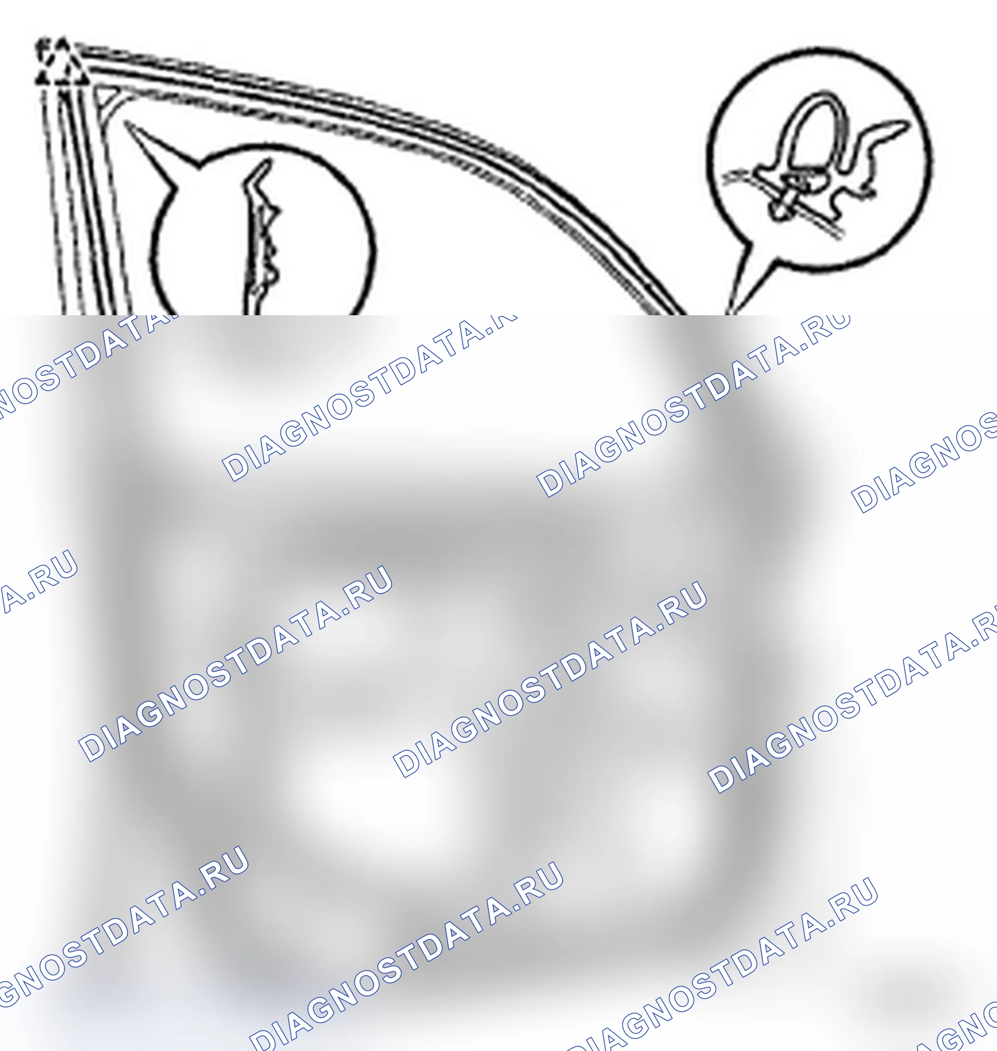 Рис. 269. Toyota Land Cruiser 200