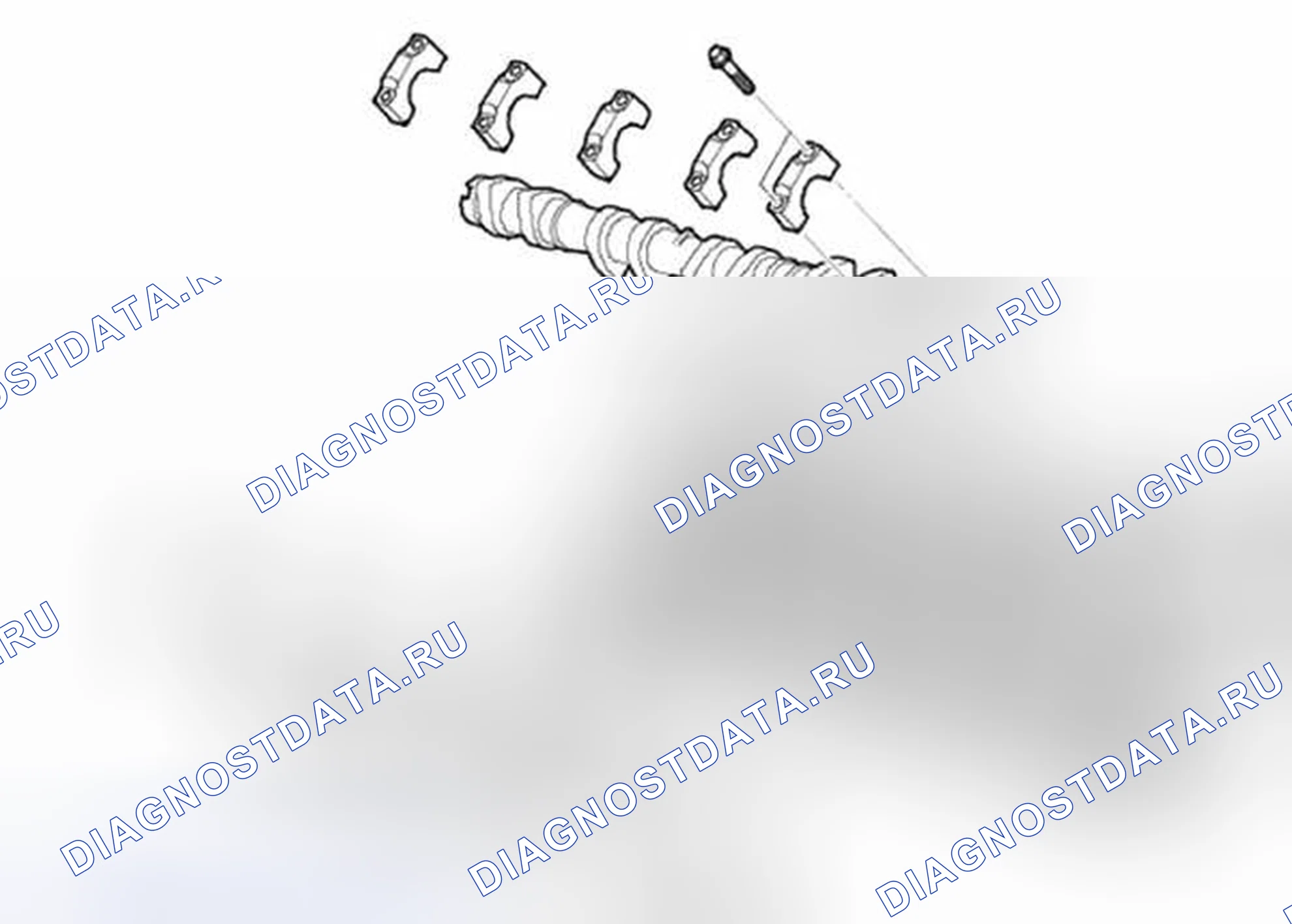 Рис. 113: Распределительные валы. Land Rover Range Rover Sport I