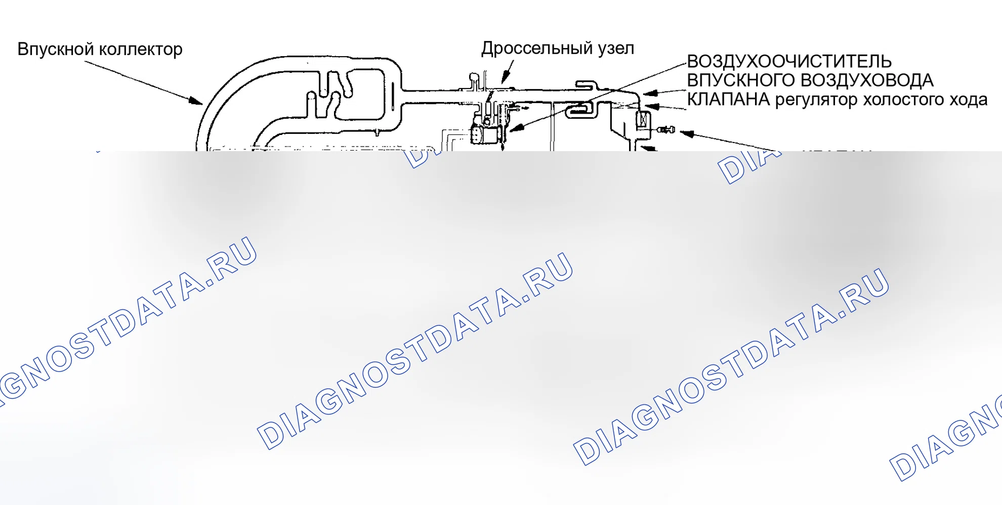 Рис. 82: Схема системы забора воздуха. Honda Odyssey II