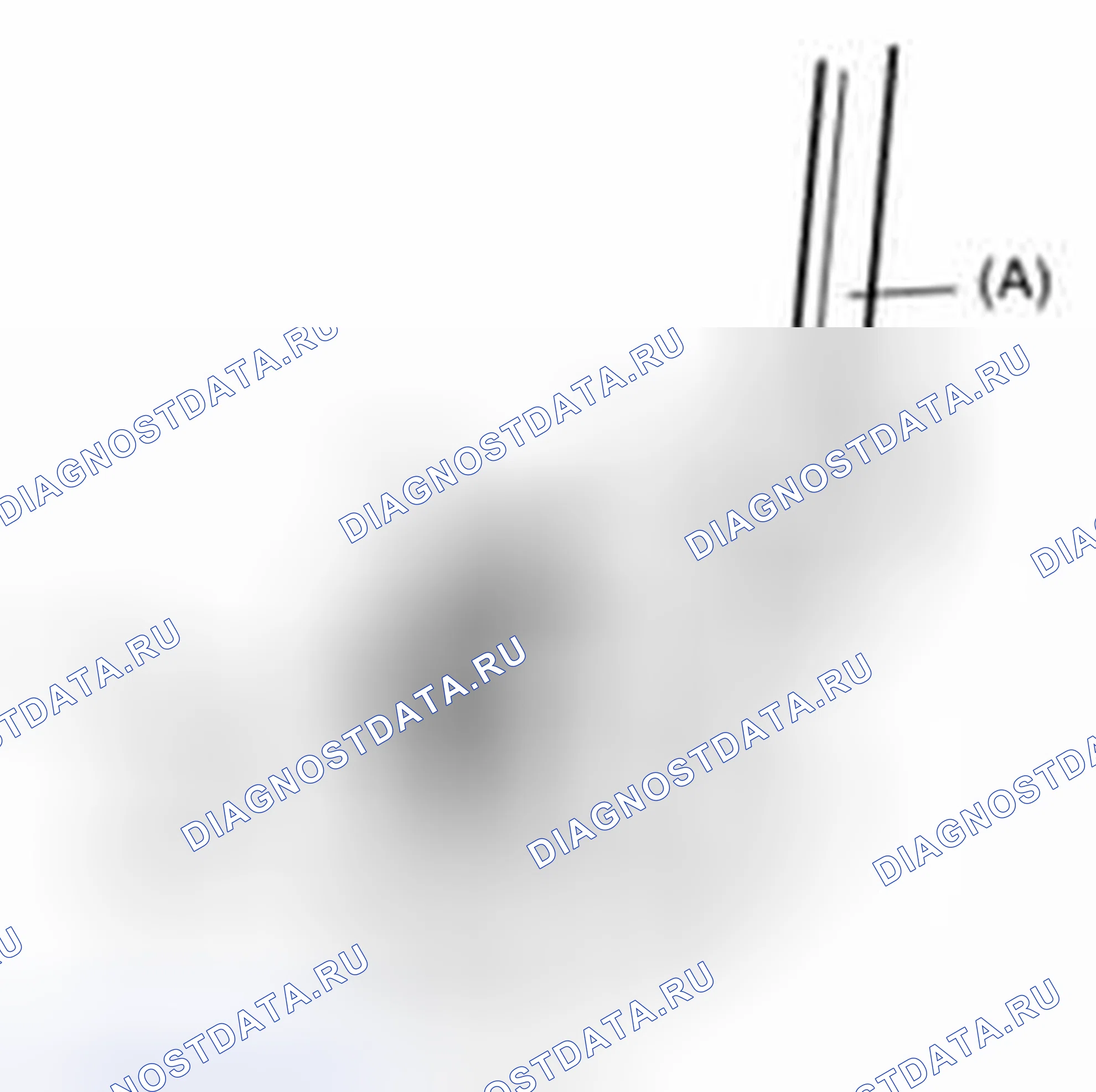 Рис. 85. Suzuki SX4 I рестайлинг