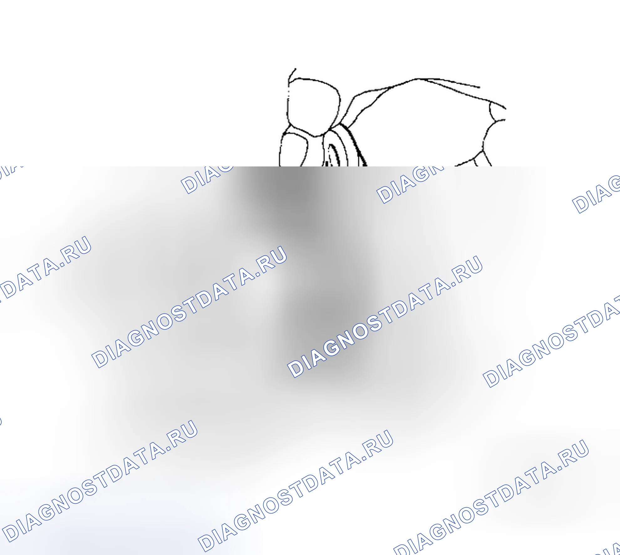 Рис. 21. Honda Odyssey I