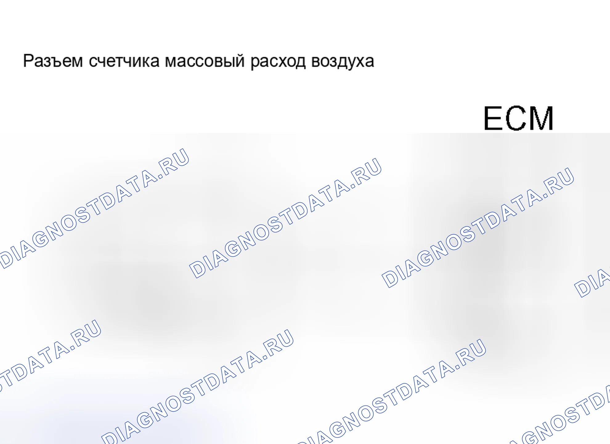 Рис. 81. Scion xB I