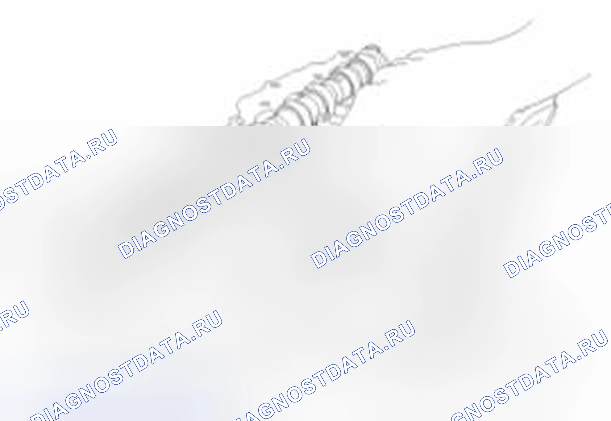 Рис. 539. Haval Beast (Shenshou) I