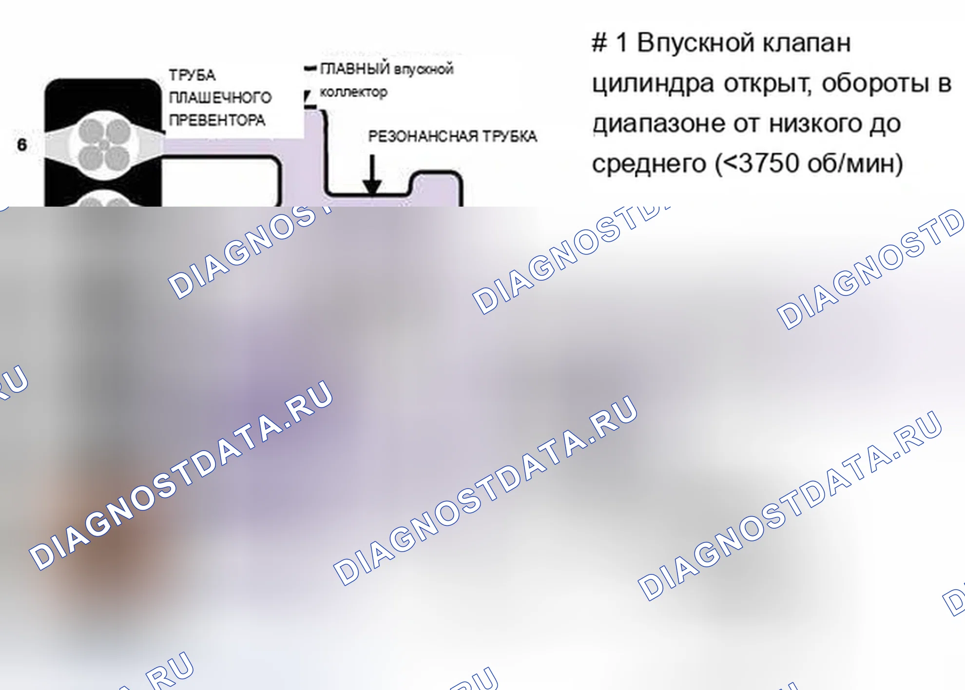Рис. 553: Идентификация открытого впускного клапана цилиндра. BMW X5 E53