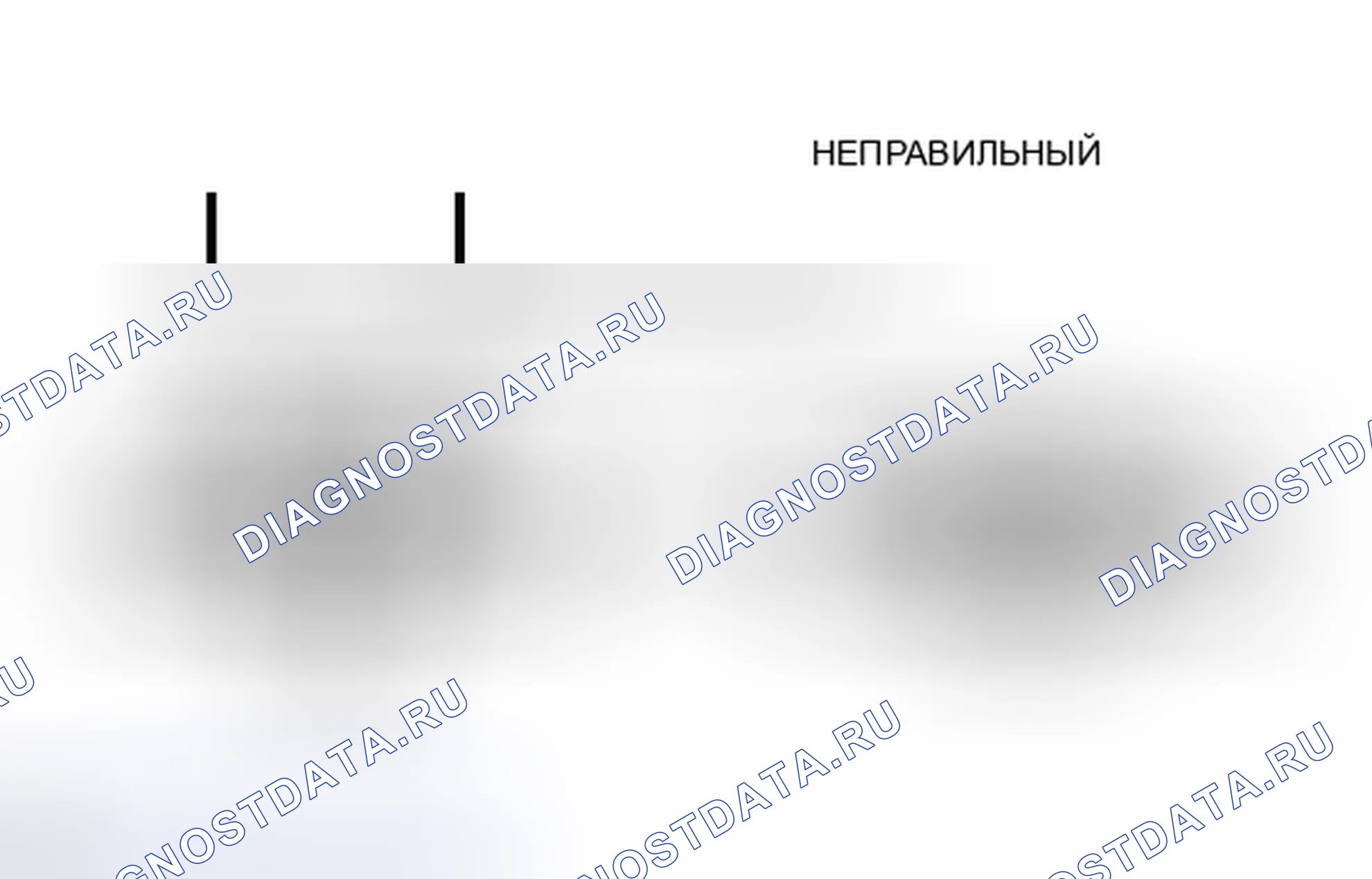 Рис. 148. Lexus IS F I