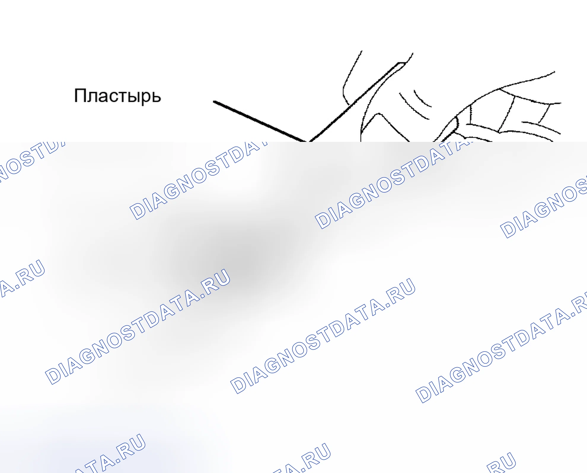 Рис. 488. Honda Accord VI