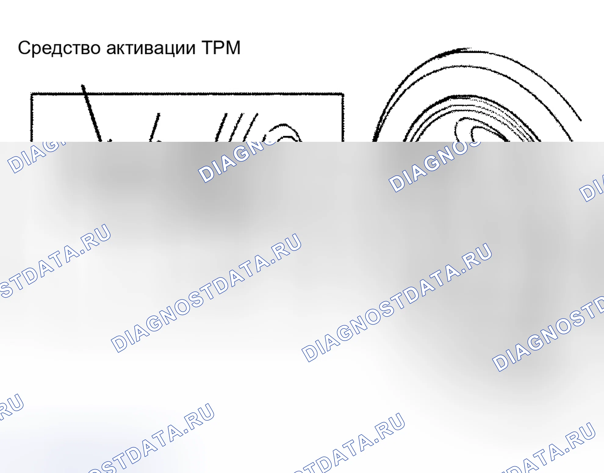 Рис. 1. Suzuki Grand Vitara II рестайлинг 2