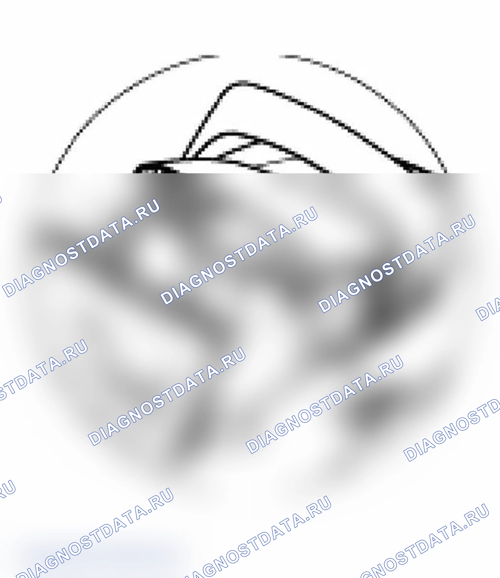 Рис. 28. Porsche Boxster S 986