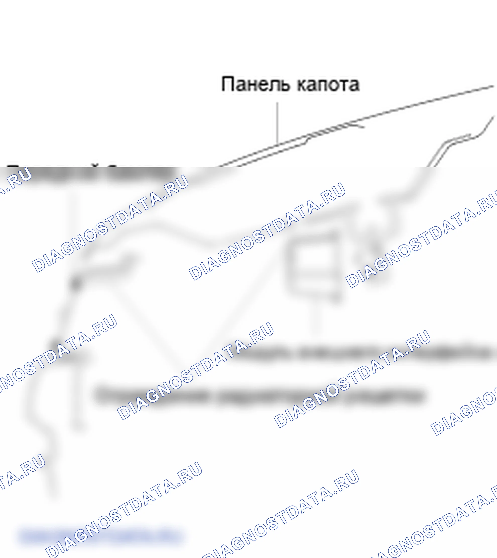 Передняя часть тела. Hyundai ix35 EL