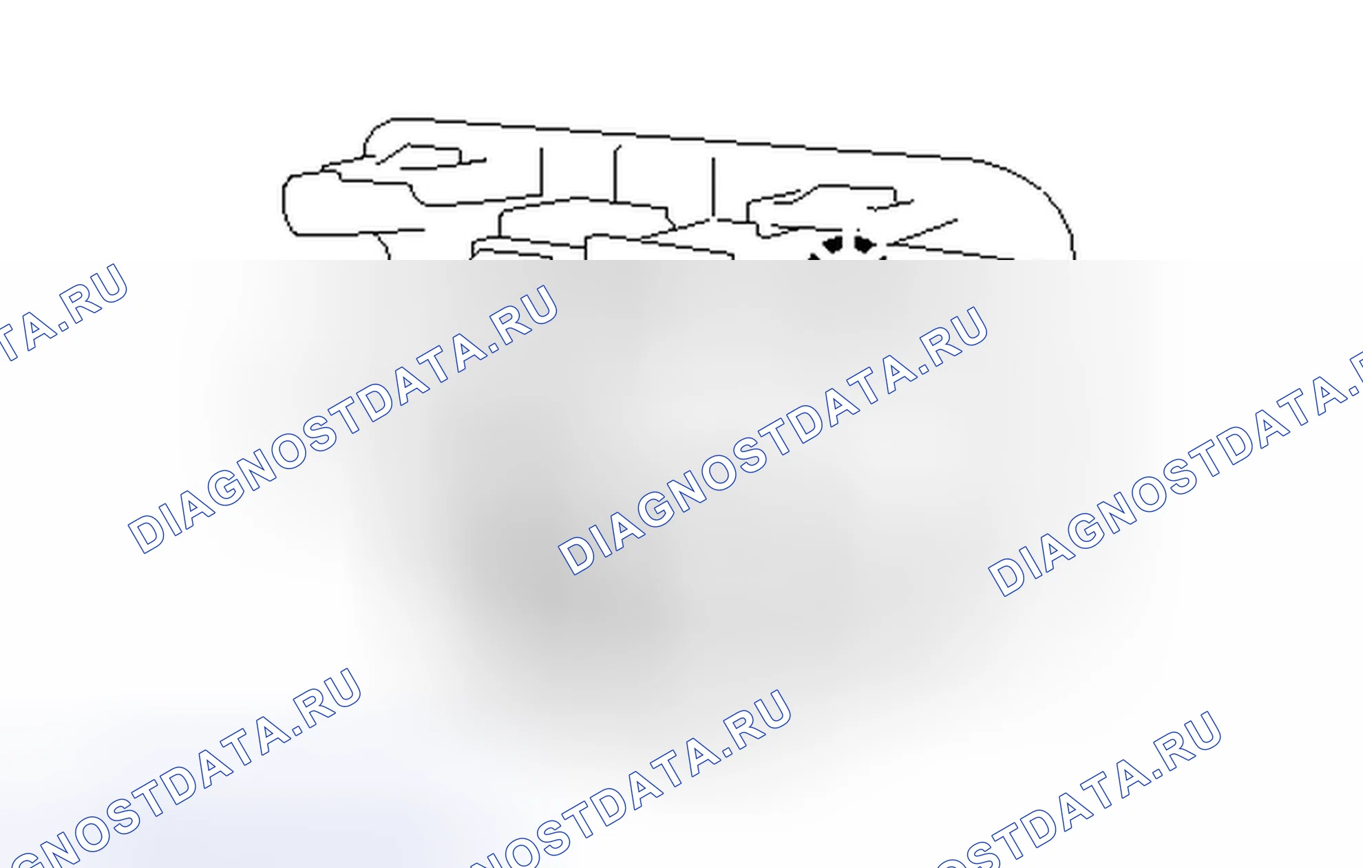 Рис. 41. Kia Sorento IV
