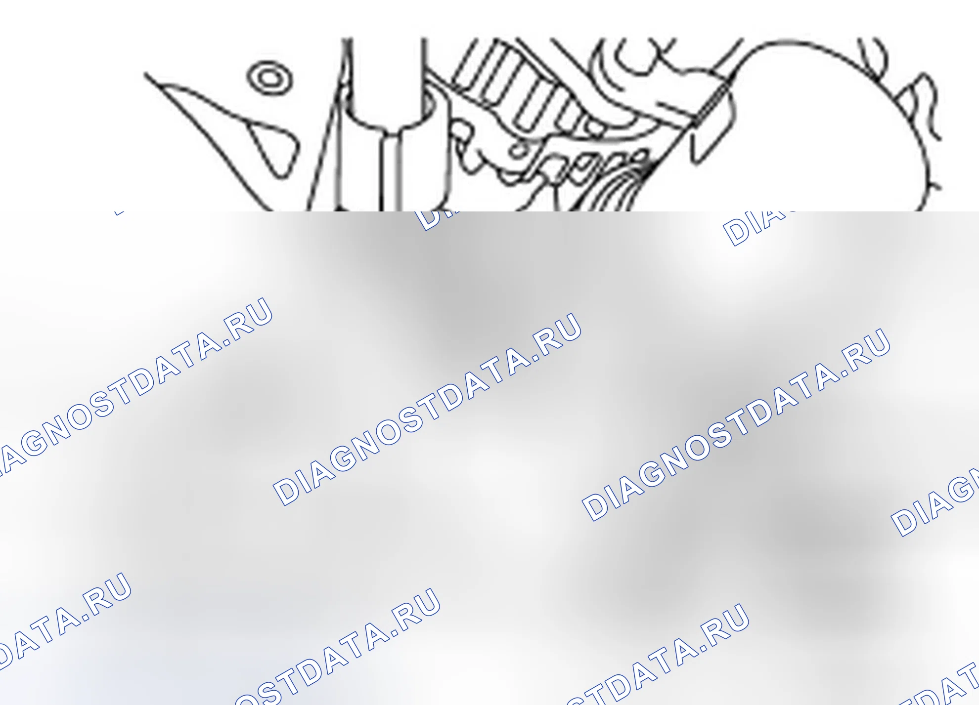 Рис. 18. Infiniti FX35 I рестайлинг