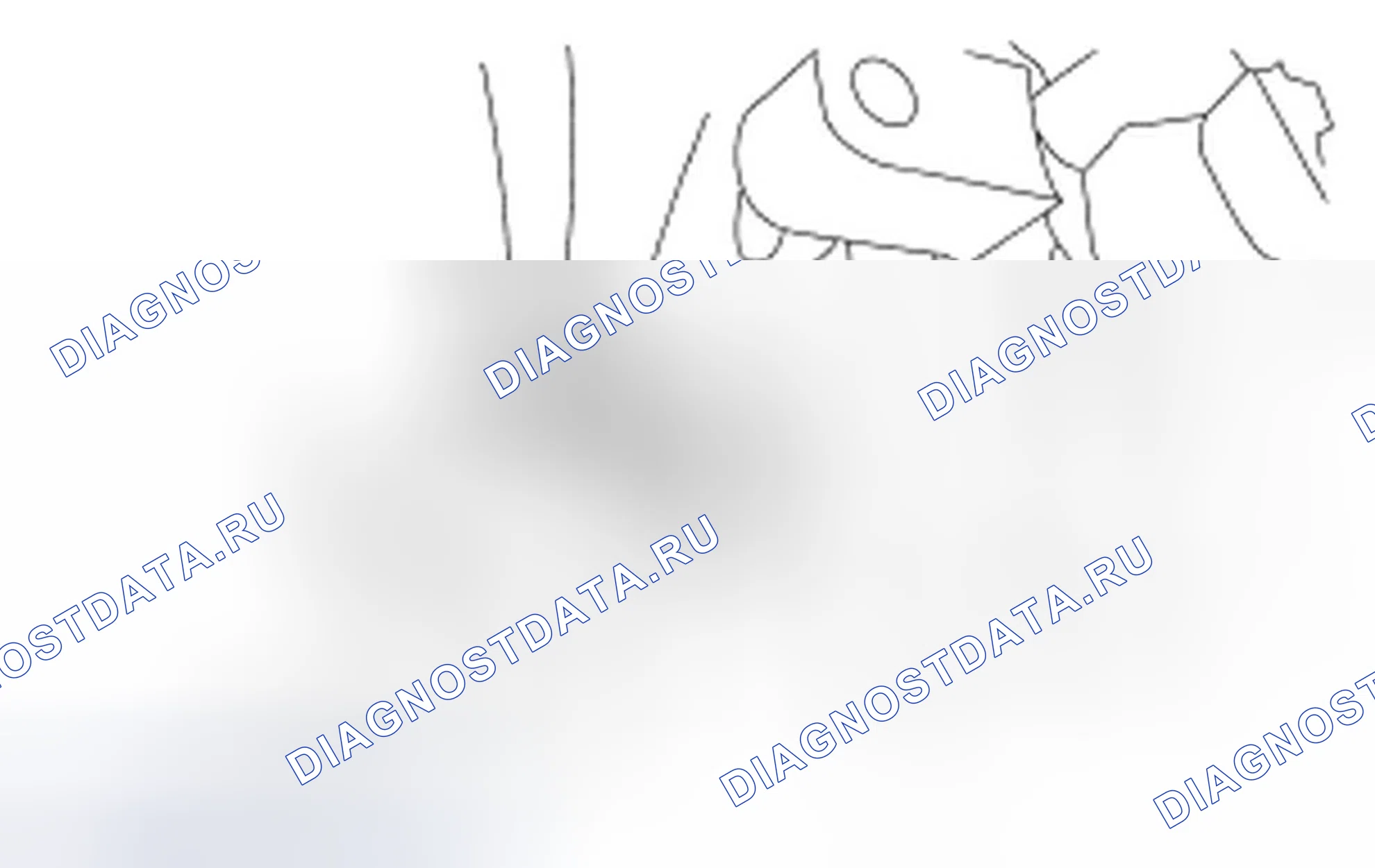 Рис. 6. Ford Focus II