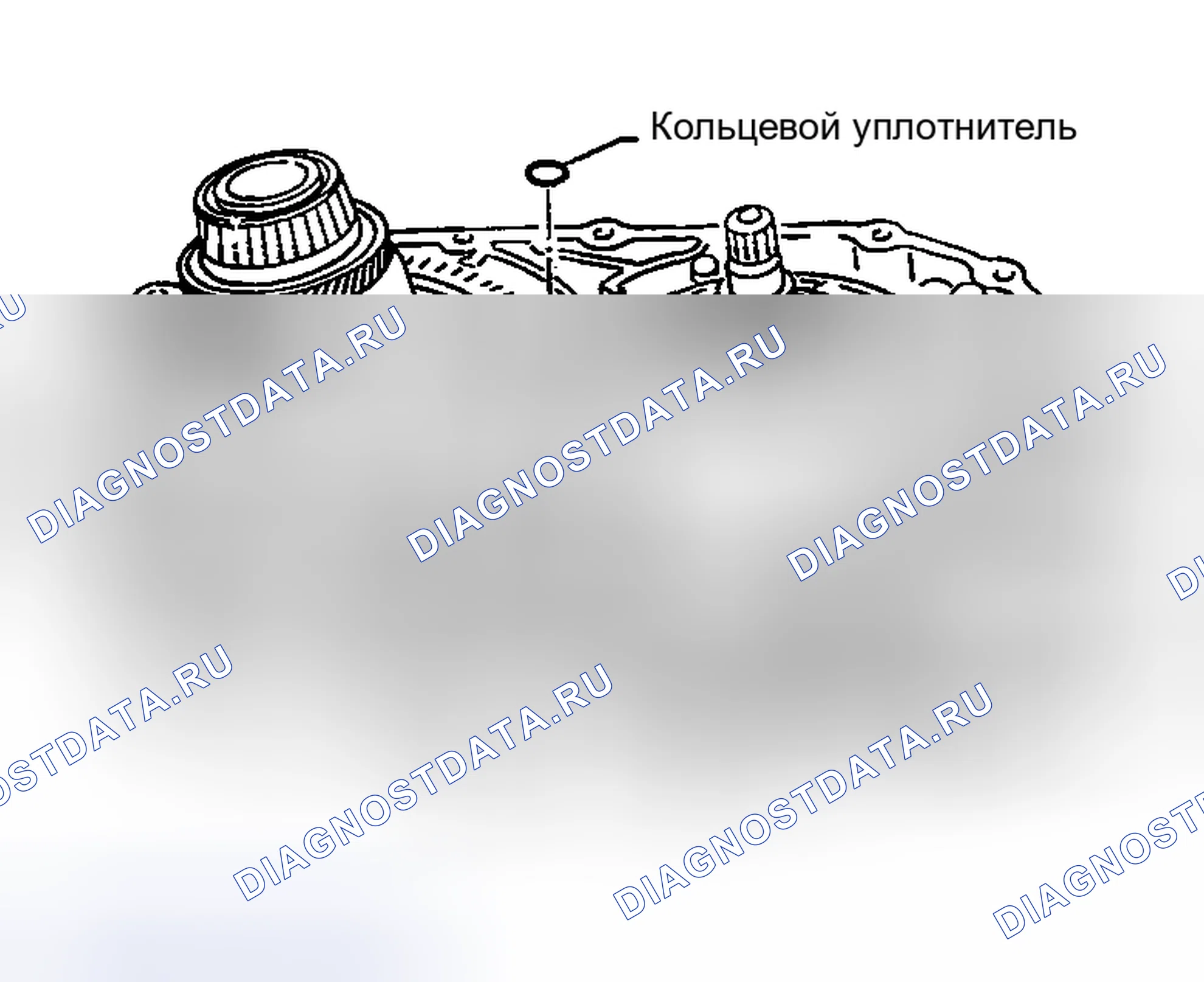 Рис. 1030. Nissan Sentra B15