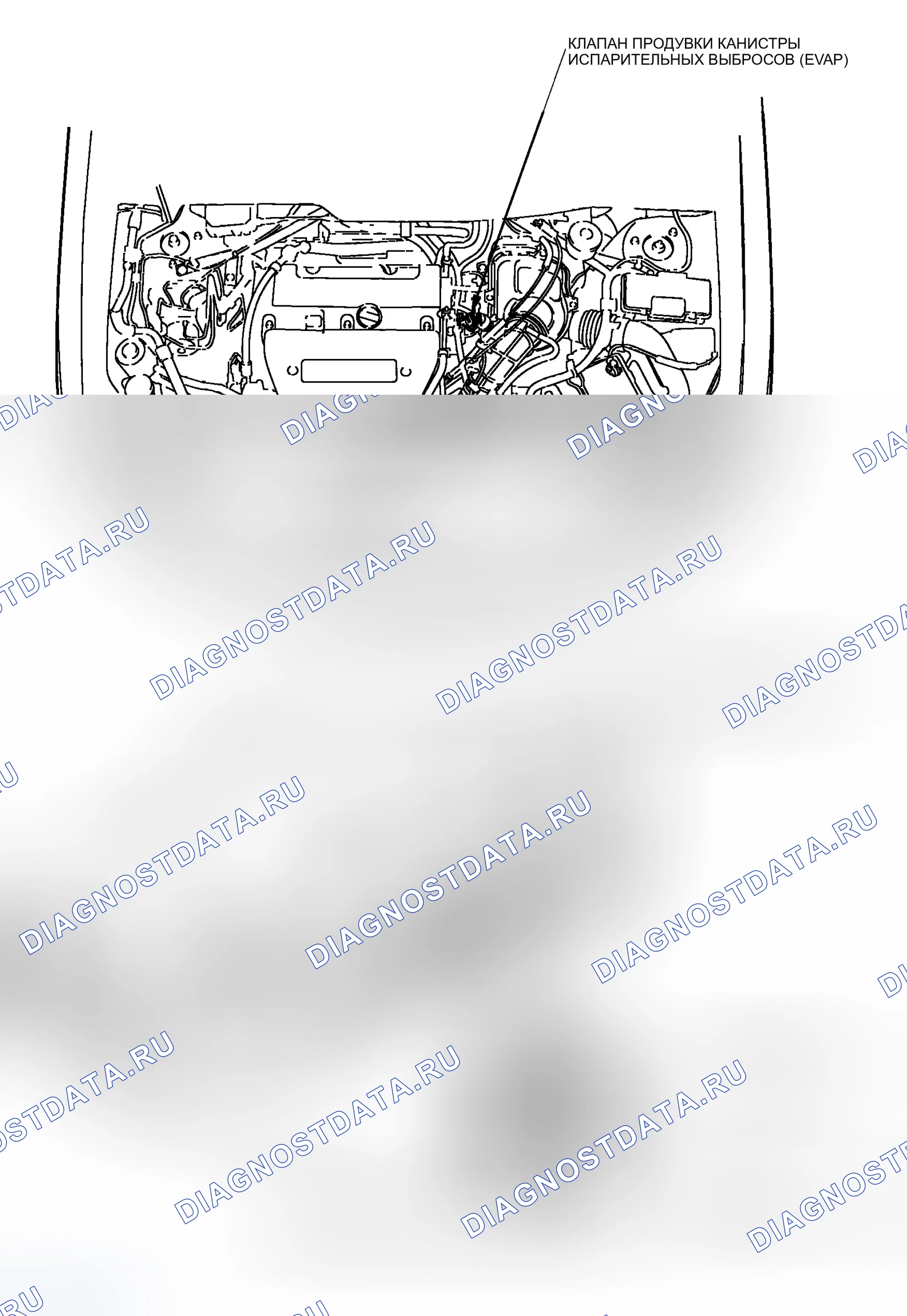 Рис. 1: Указатель расположения компонентов. Honda Element YH2