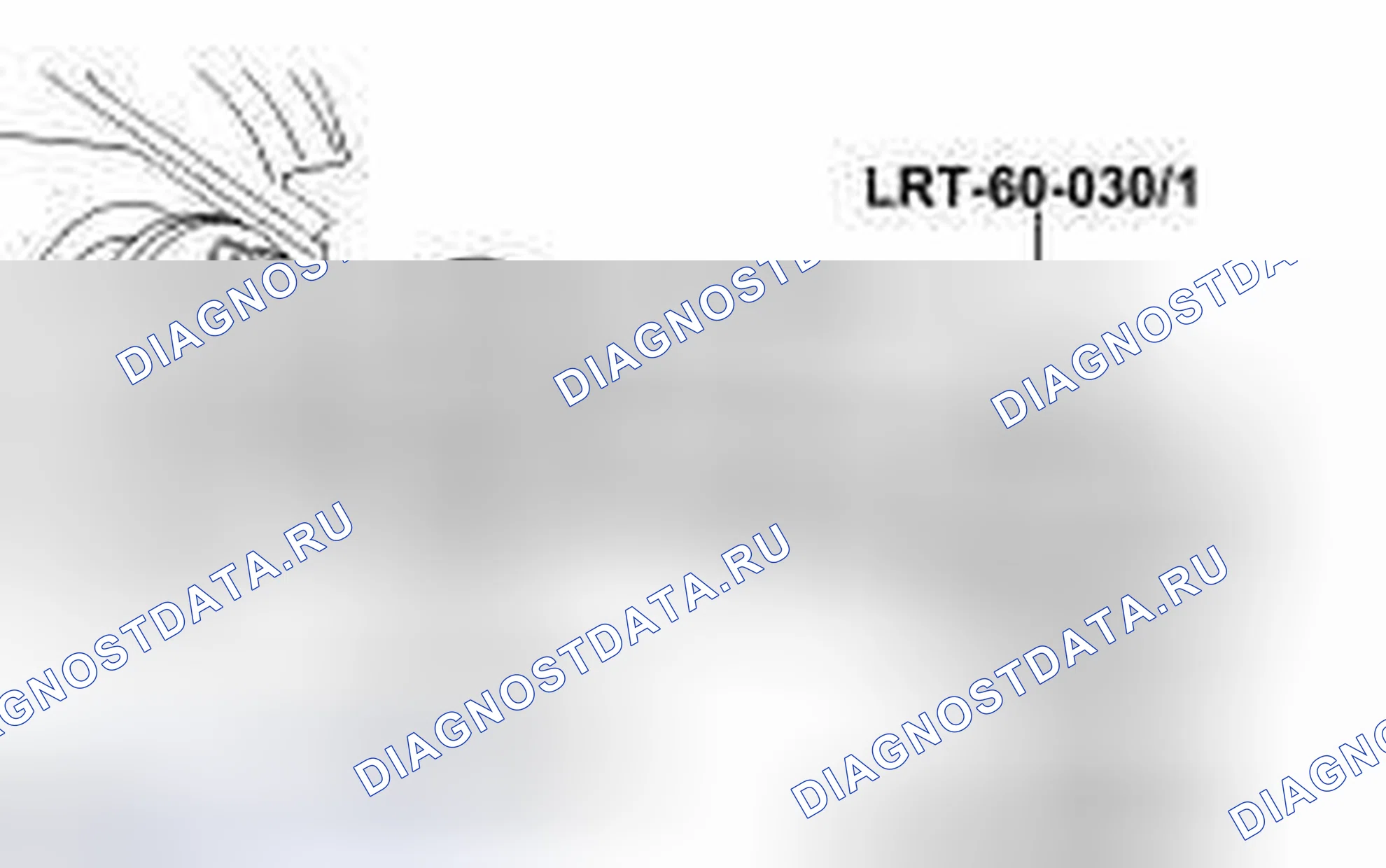Рис. 16. Land Rover Range Rover III рестайлинг 2