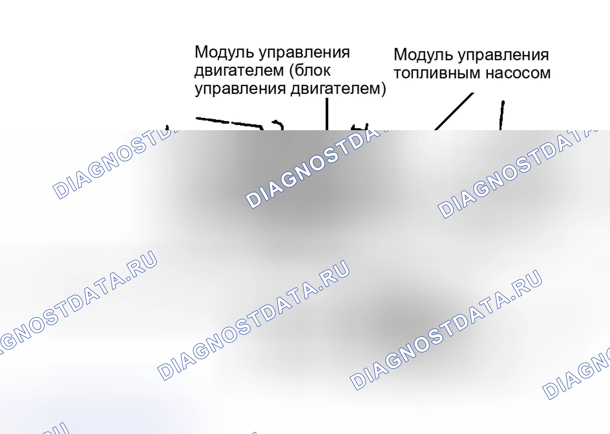 Рис. 8: Расположение компонентов (8 из 16). Honda CR-Z I