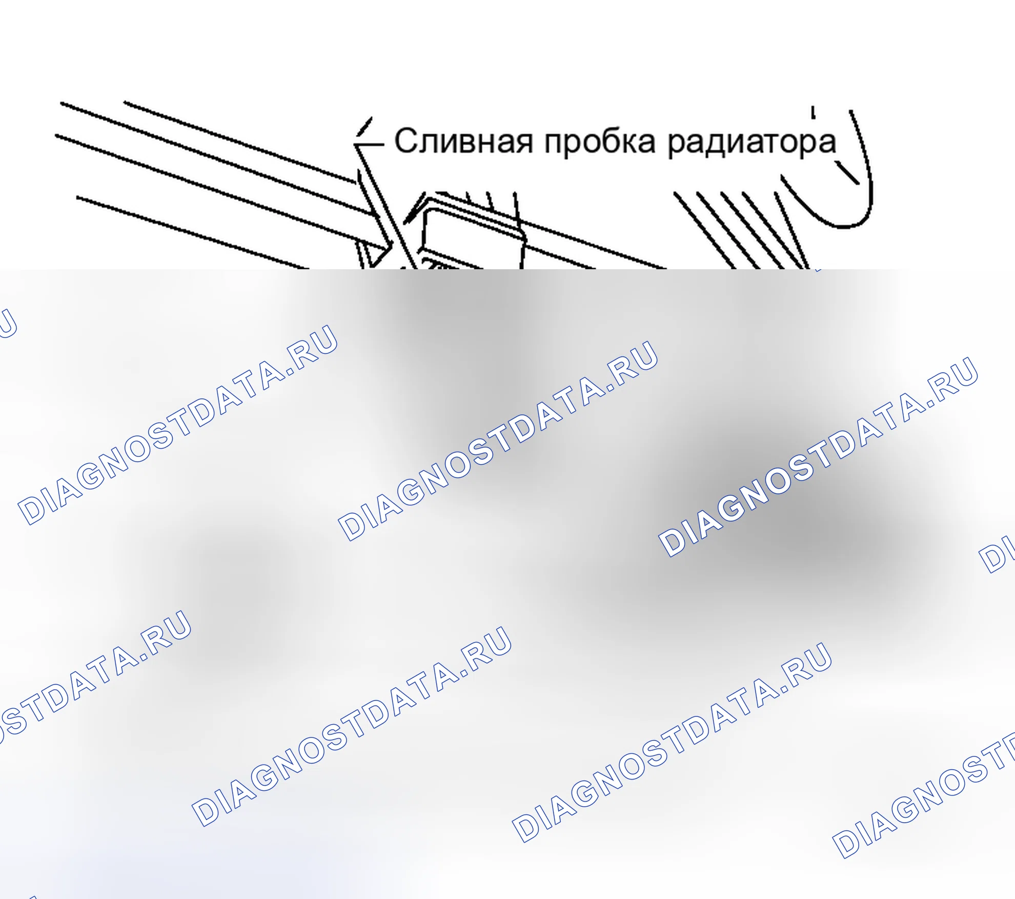 Рис. 31: СЛИВ ОХЛАЖДАЮЩЕЙ ЖИДКОСТИ ДВИГАТЕЛЯ. Honda Stream I